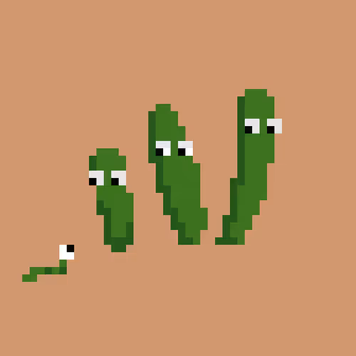 What Is That Pickle