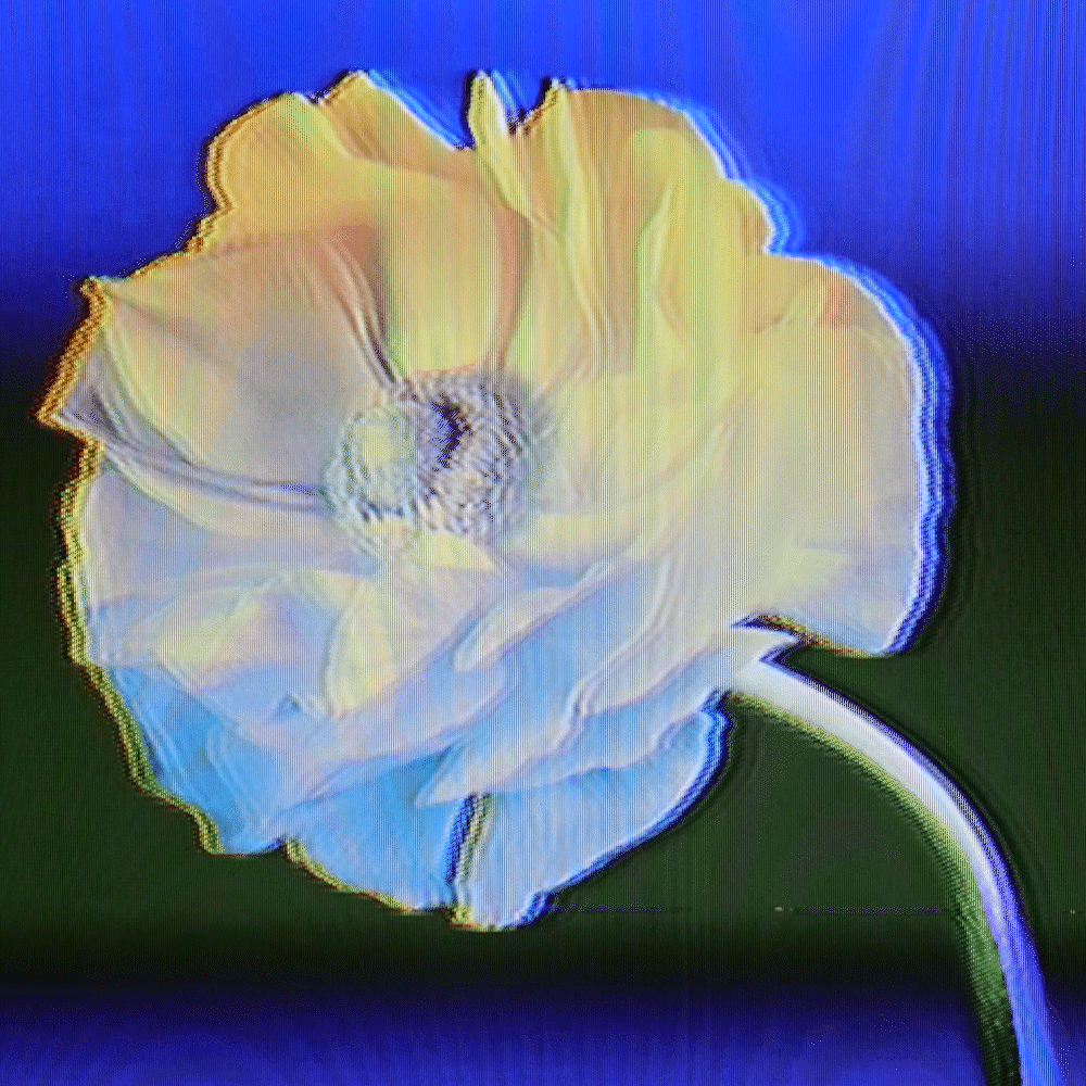 Flower #44
