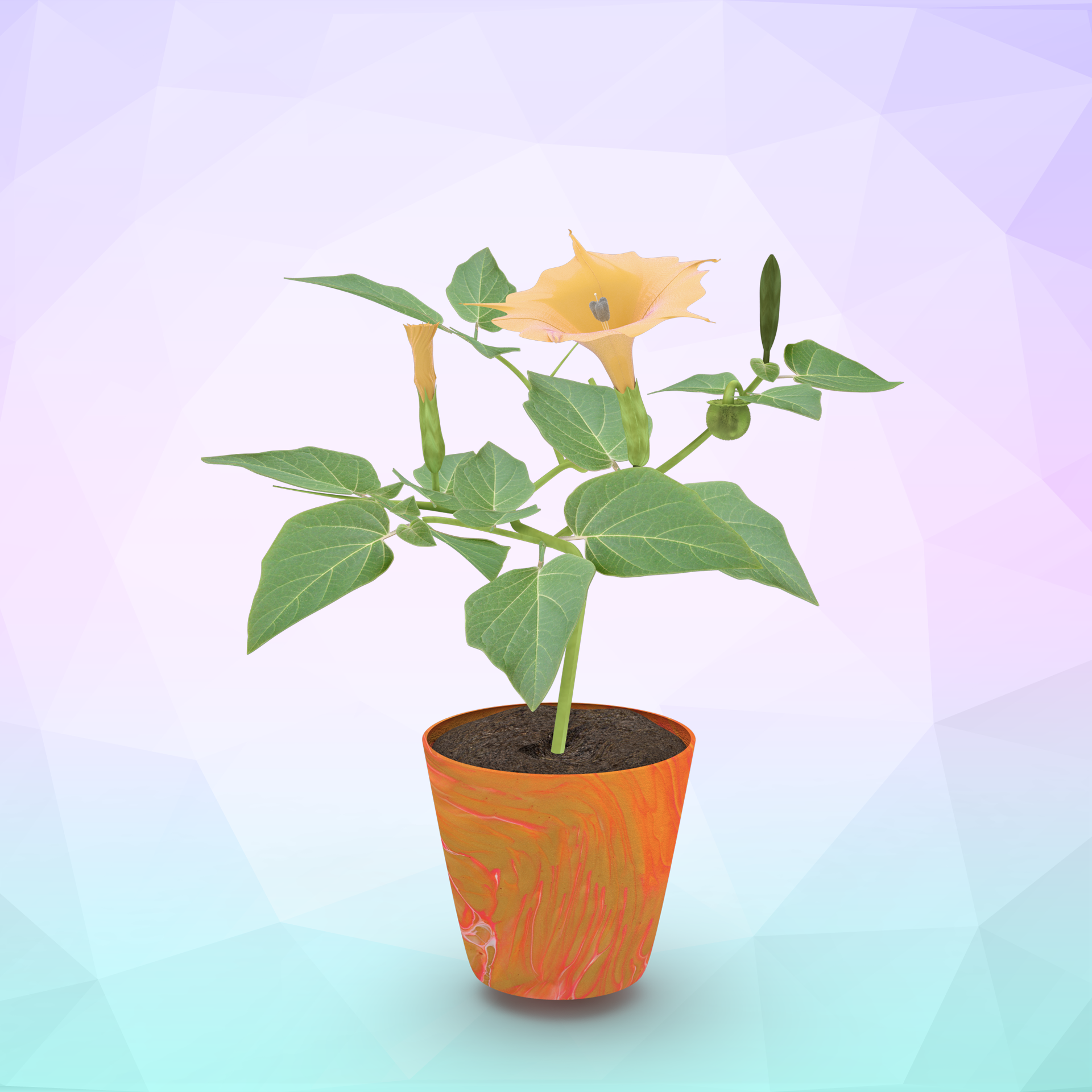 ∆FLORA #523