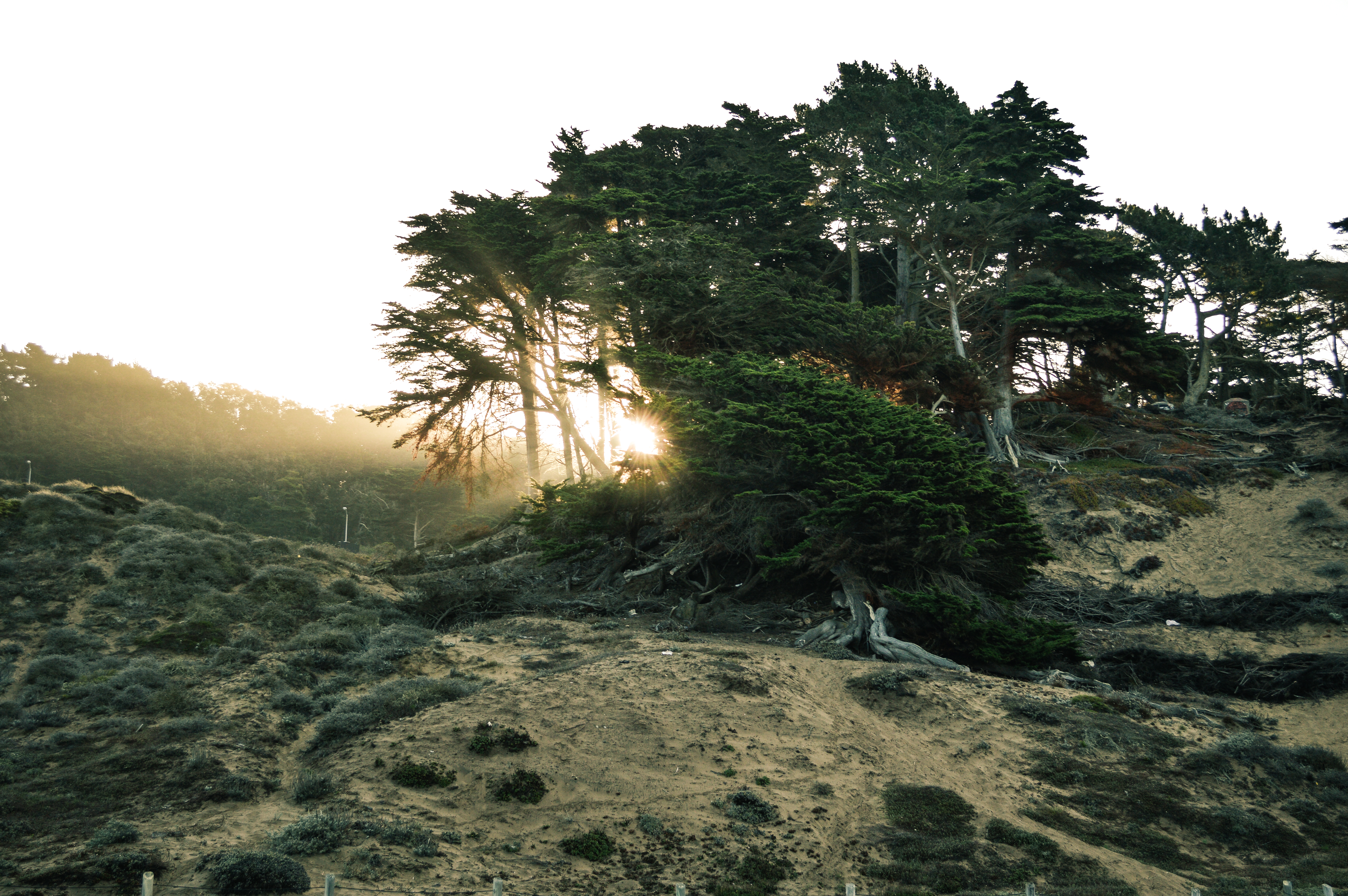 Baker Beach