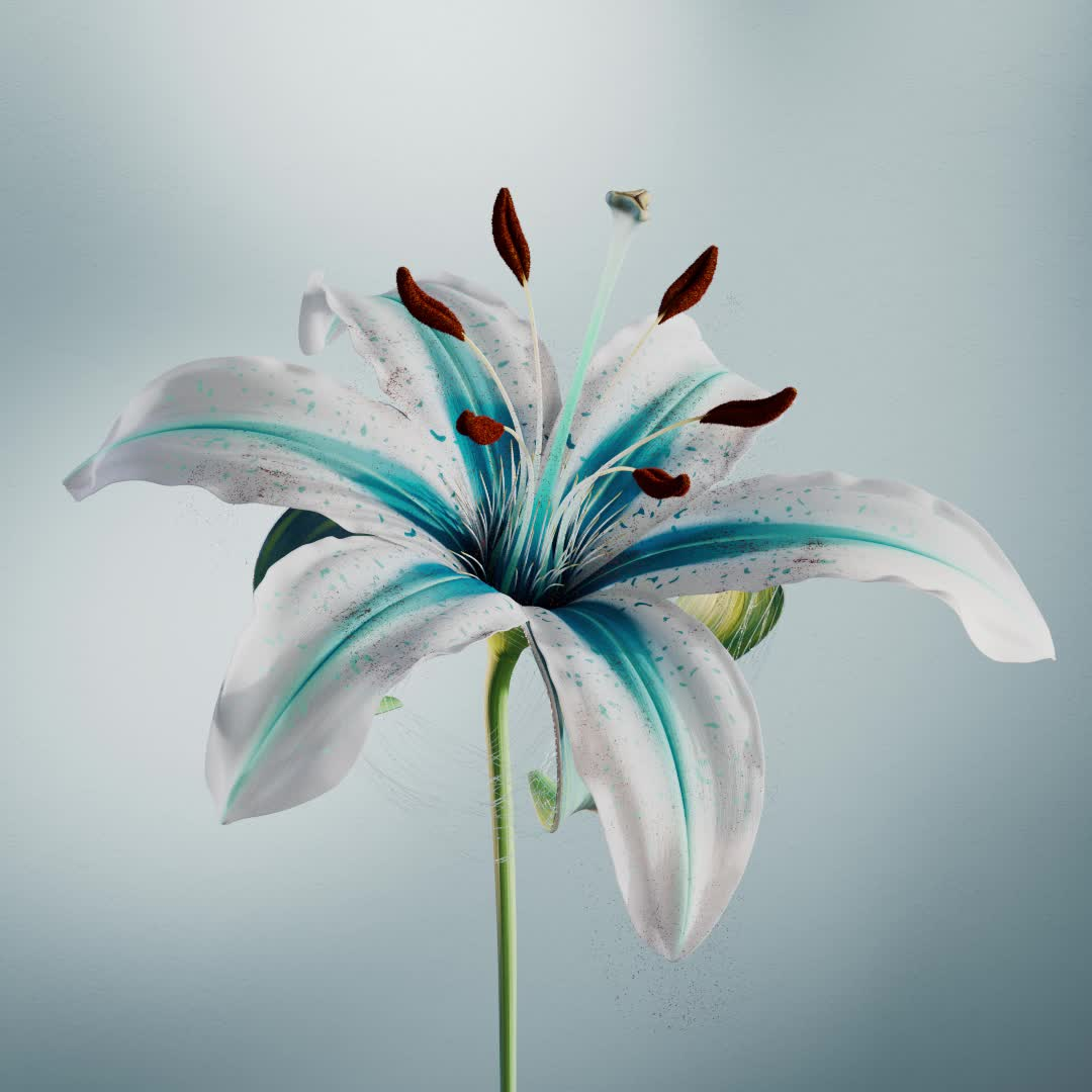 BLOOM-CALLAIS #4/24