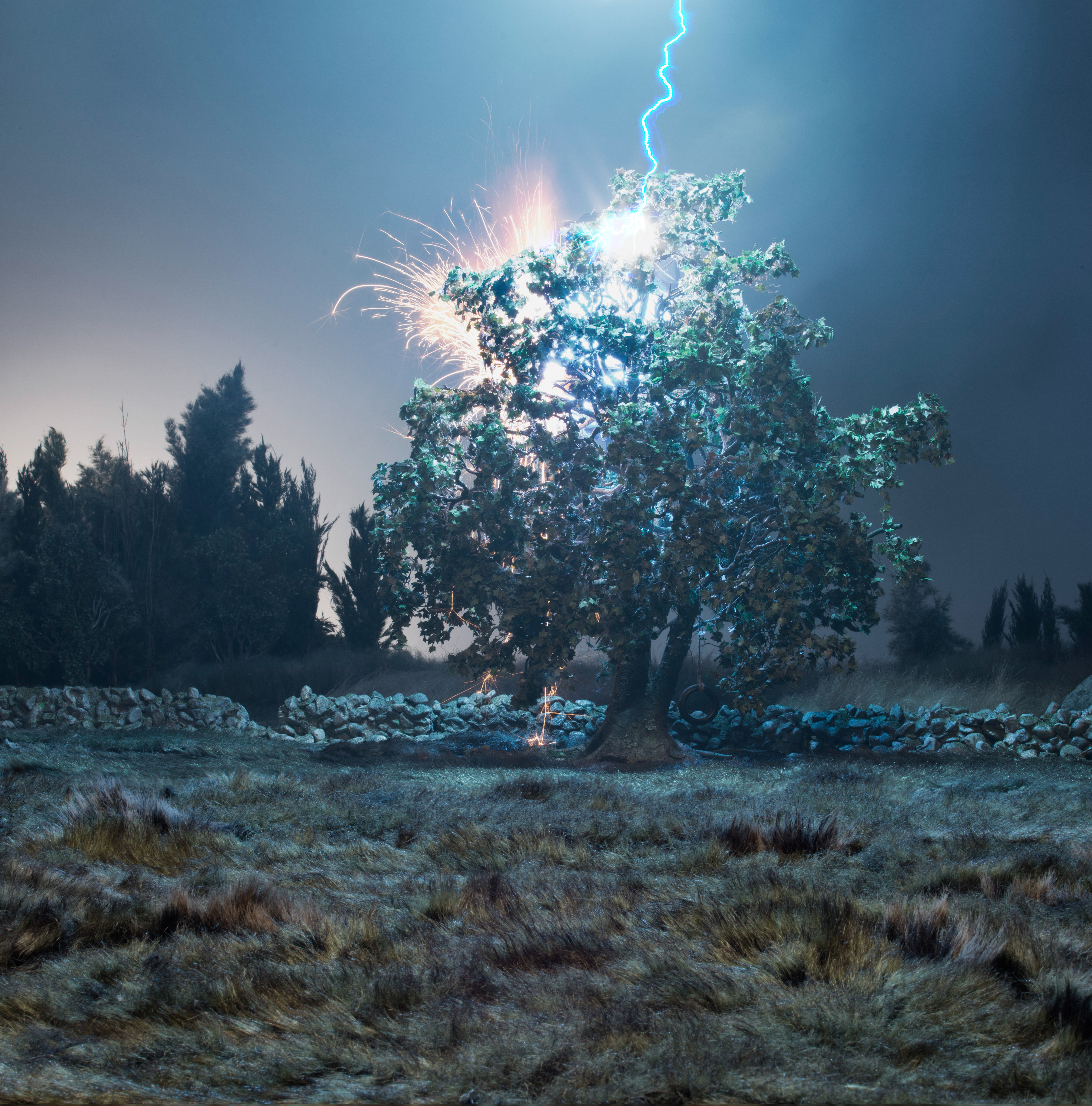 Strange Worlds - The Tree in My Backyard 2