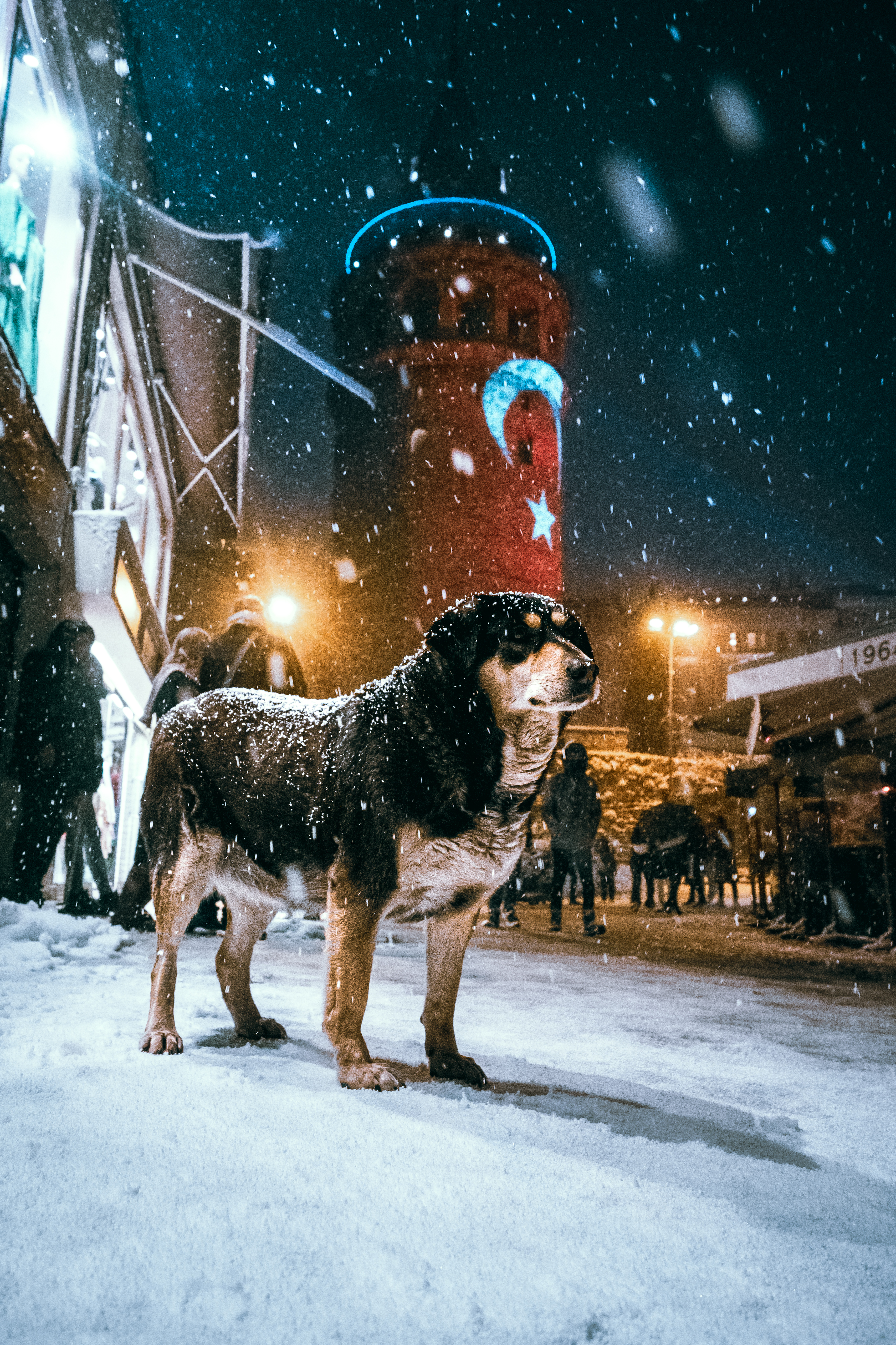 Guard of Galata 