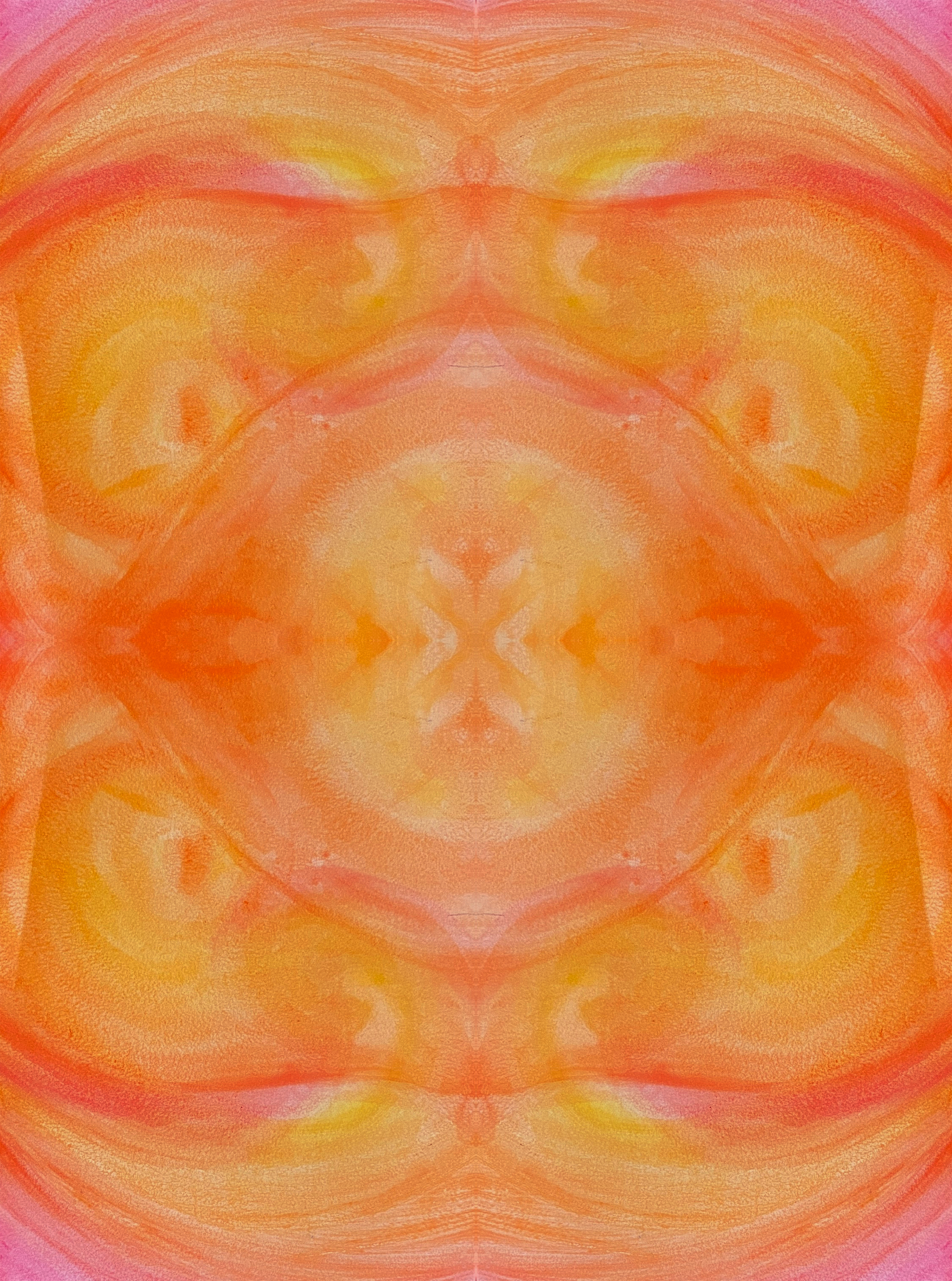 Sunset Fox