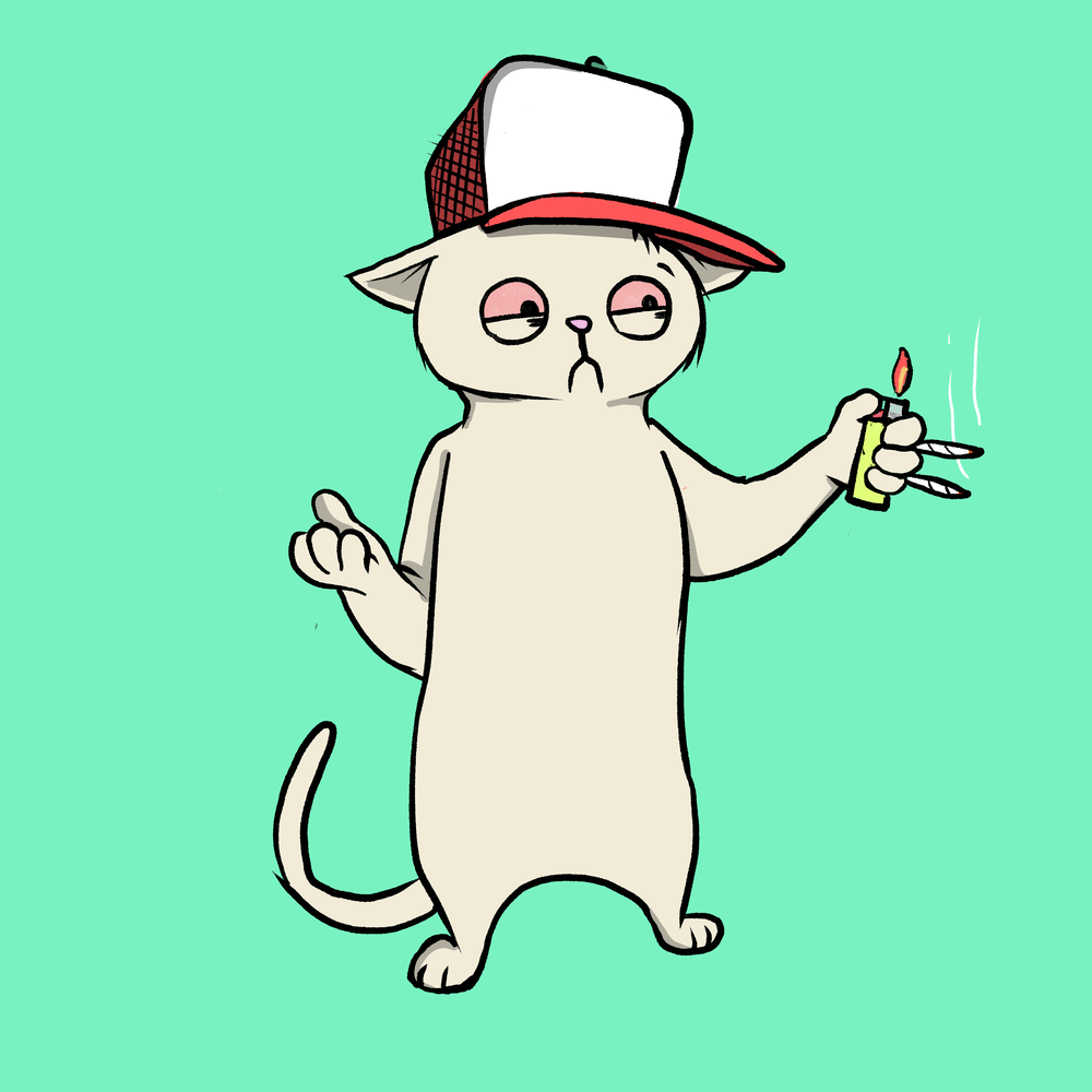 Blazed Cat #4825