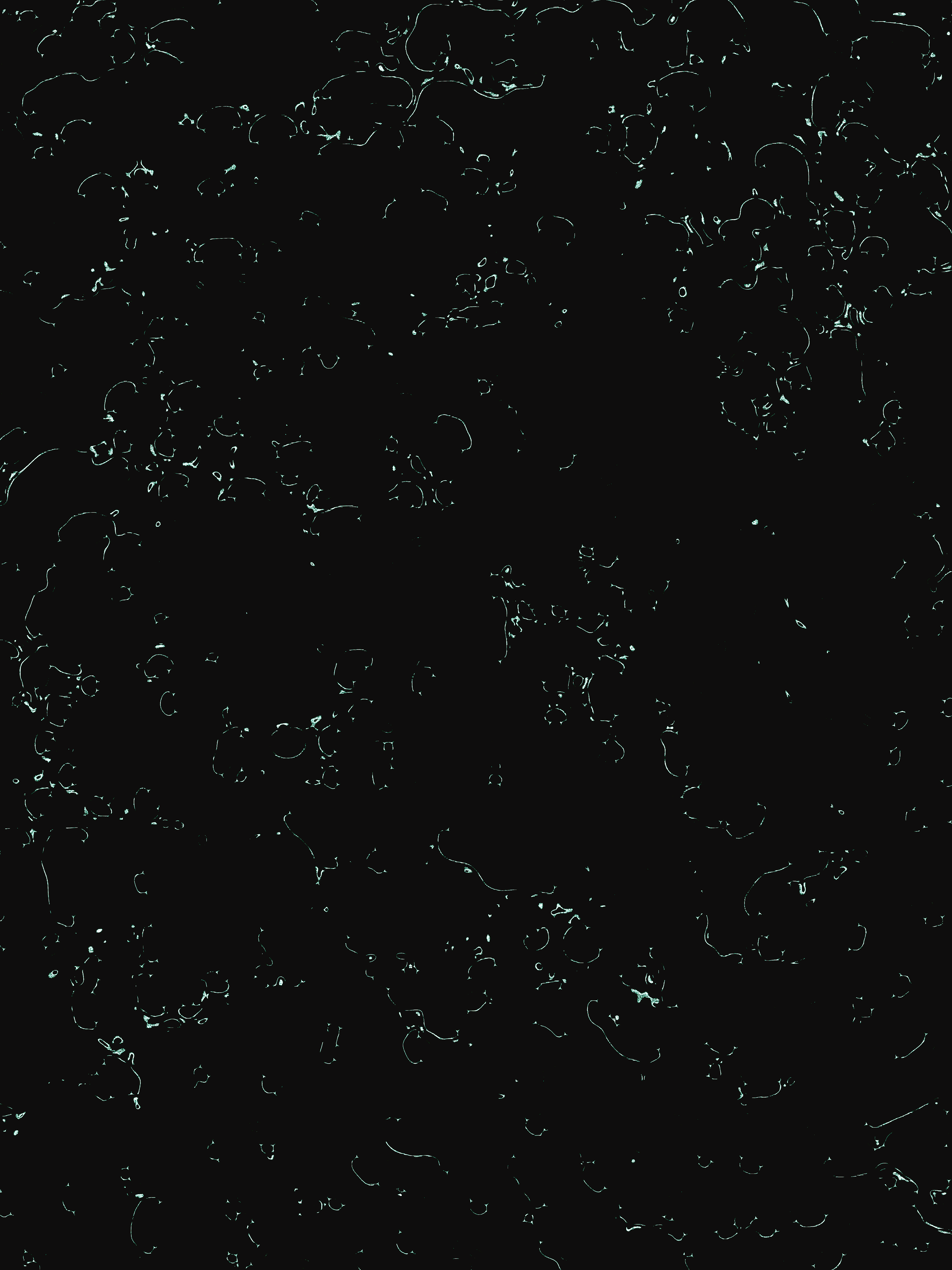 dcq4P10hf723Ly