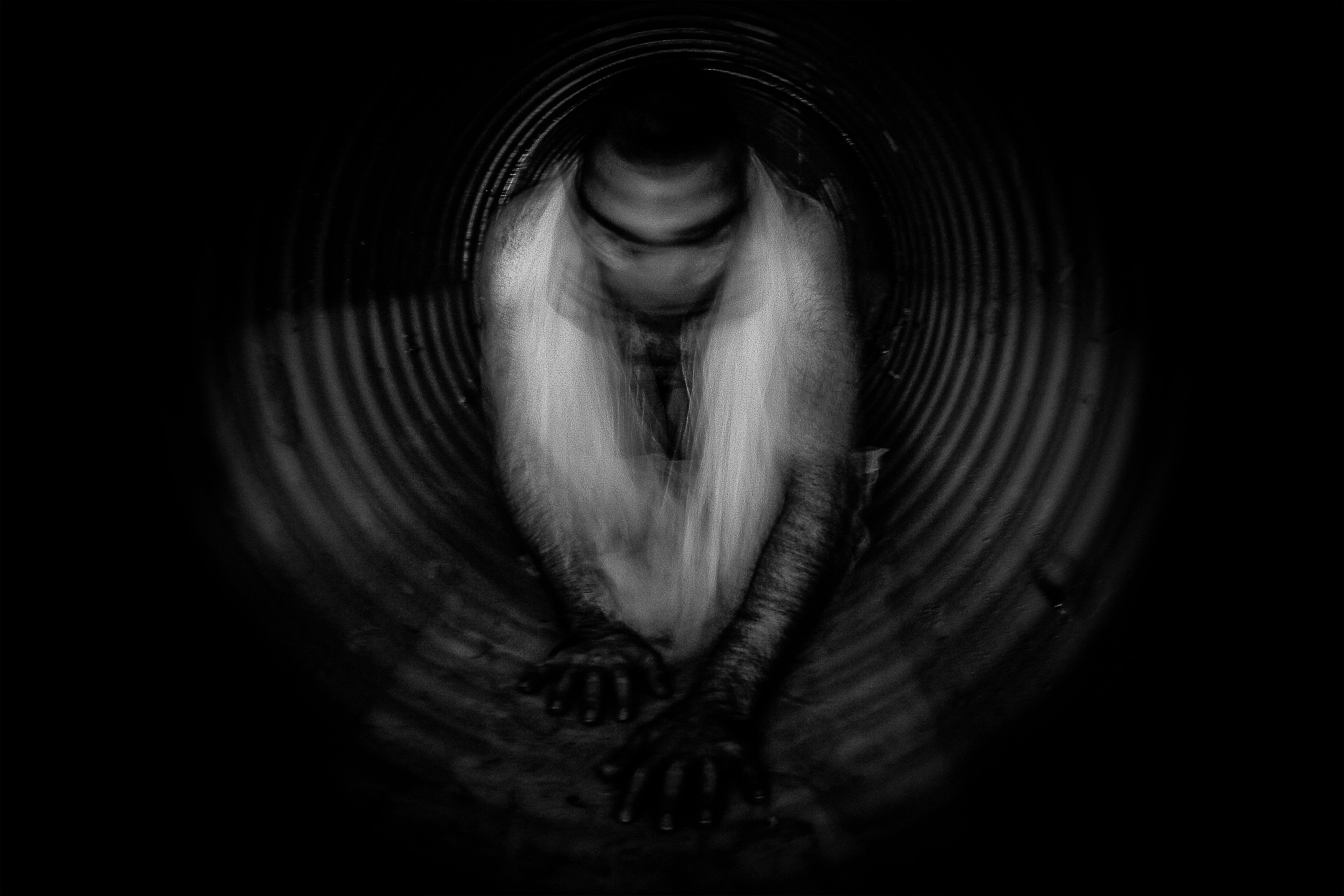 The Crawl