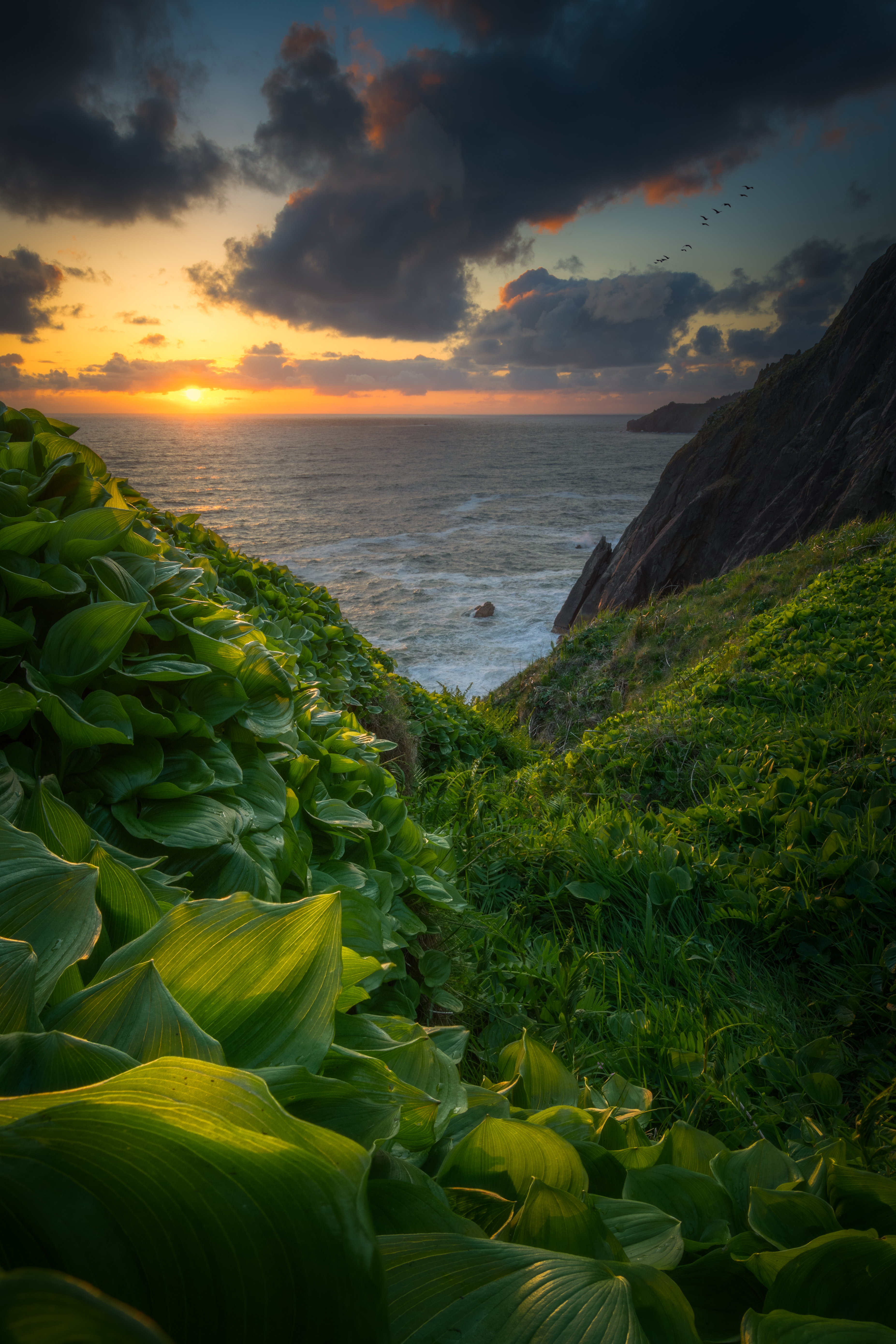 Sea of Dreams | Wild Oregon