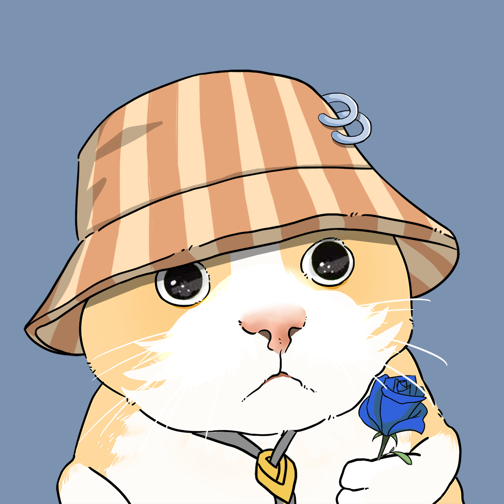 Puzzled cat #3359