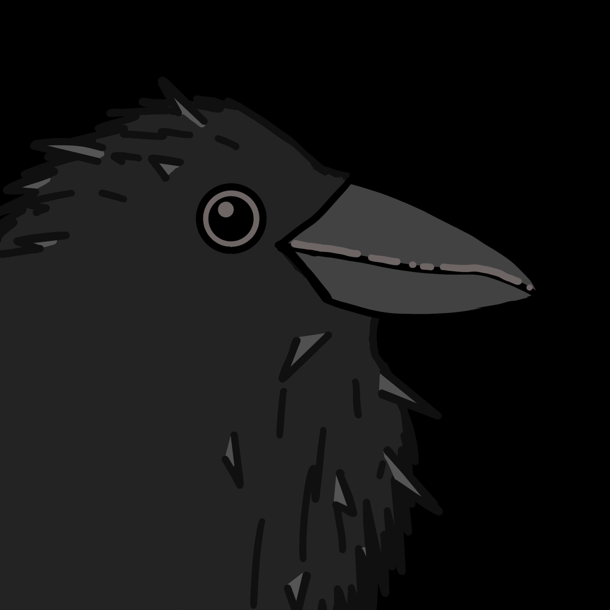 Crow Friends #704