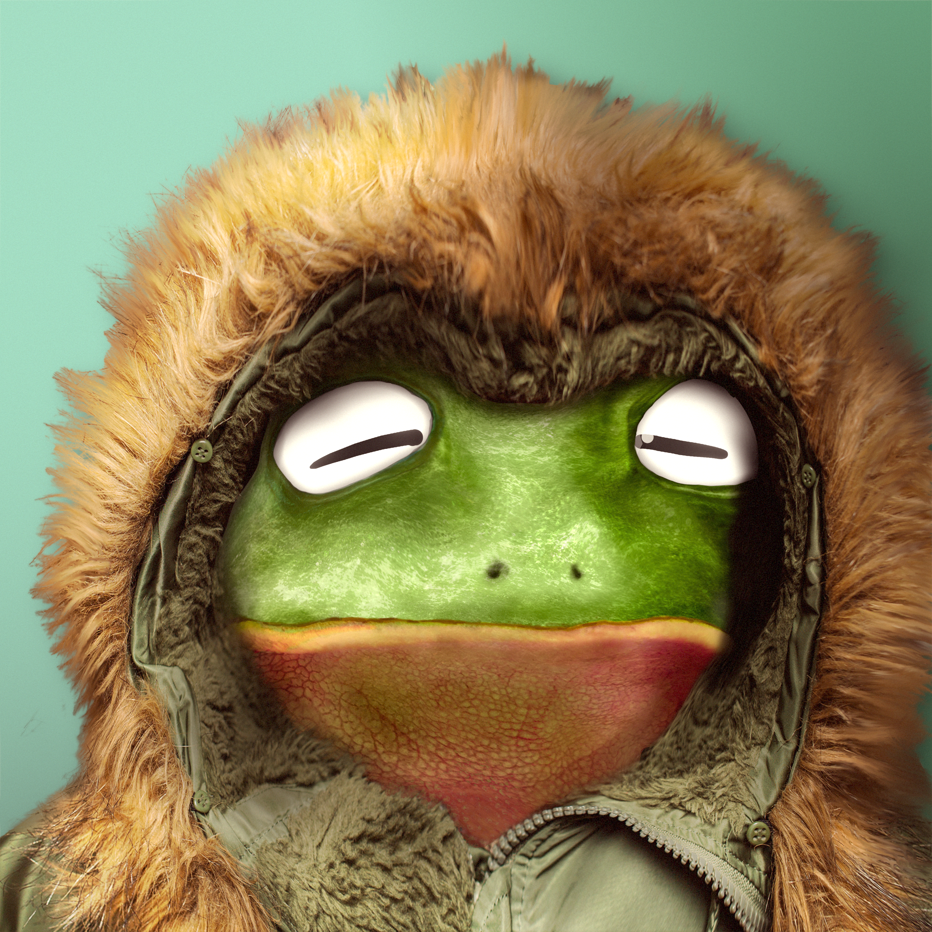 Notorious Frog #1685