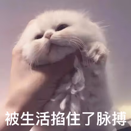 aaa1