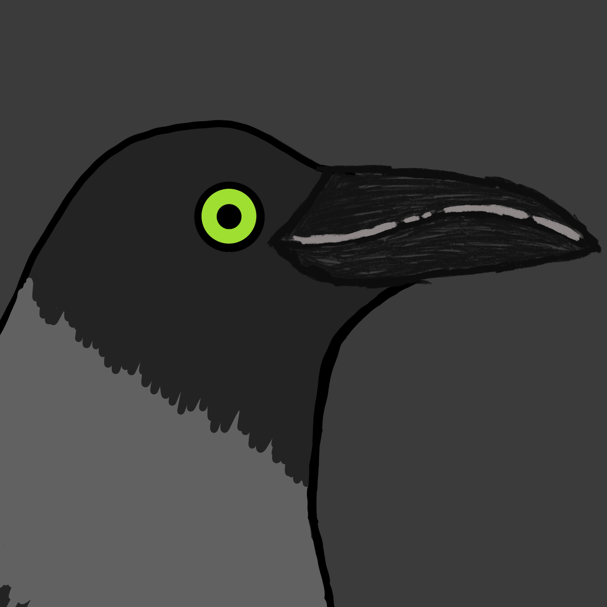 Crow Friends #184