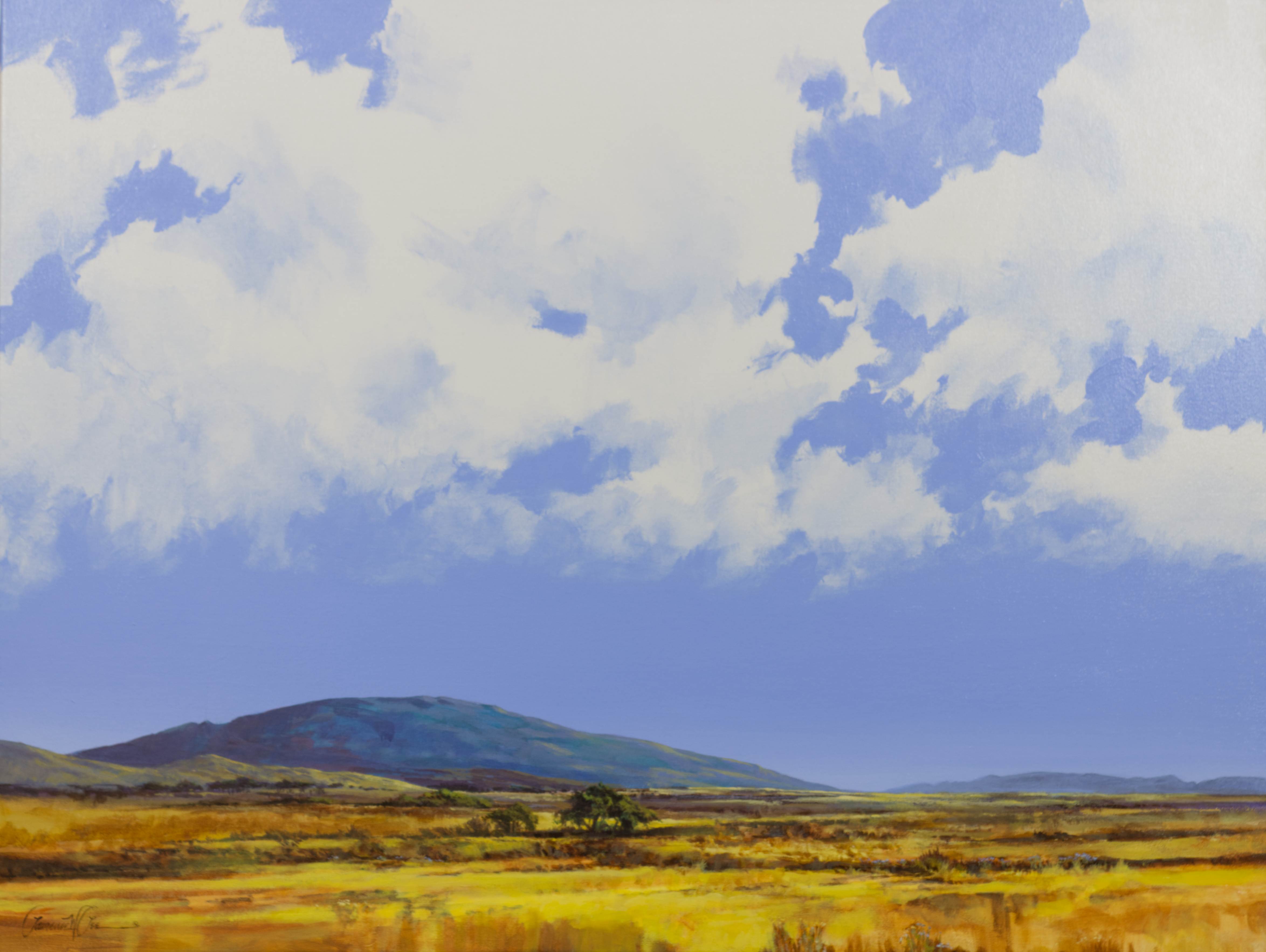Homeland