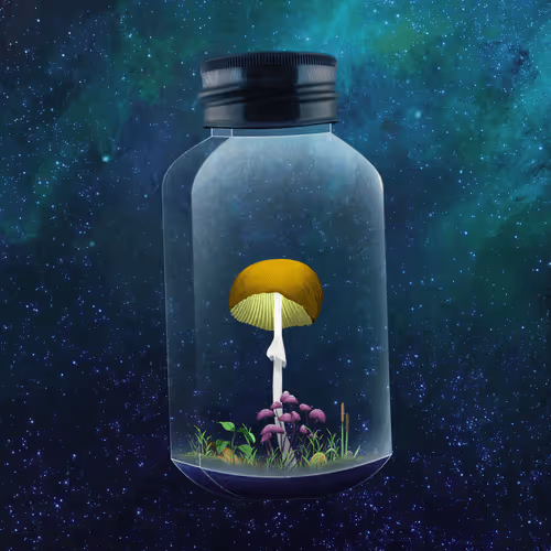 Mushroom #937