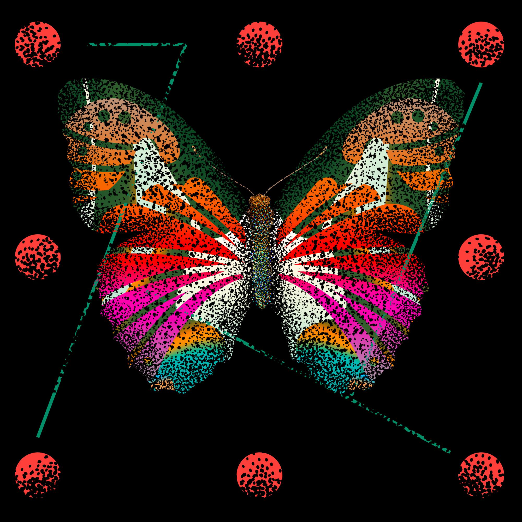 Monarch #581