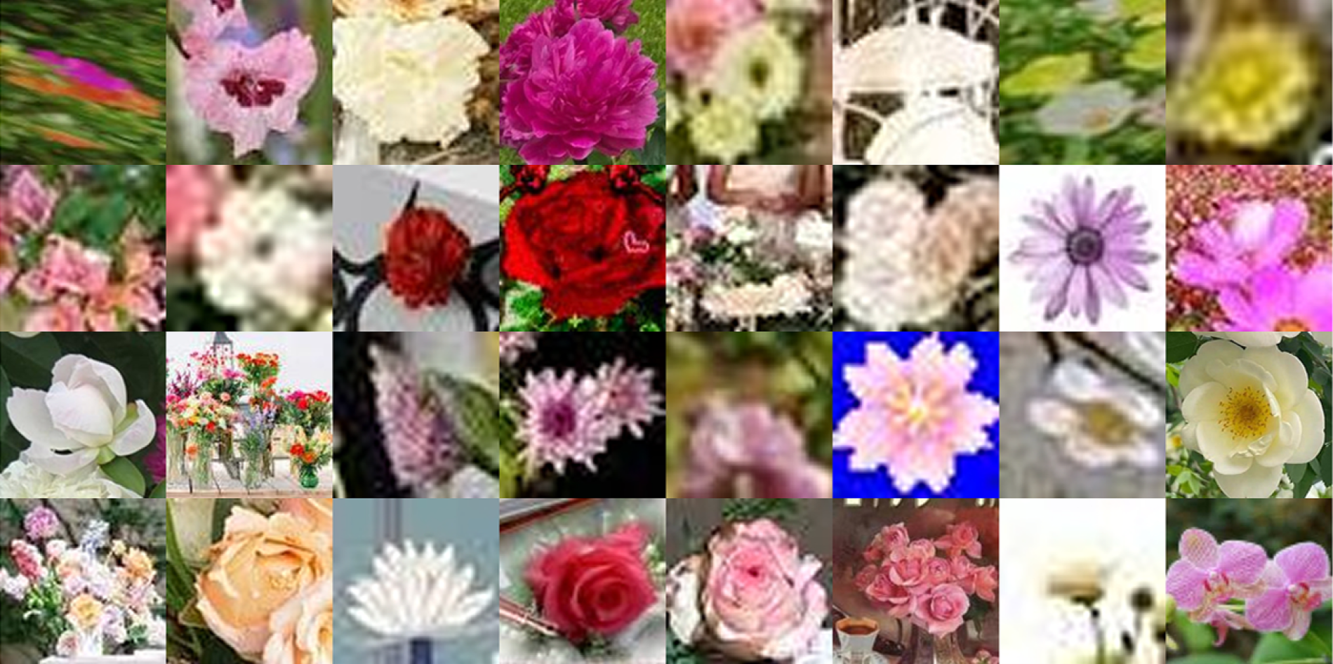 internet.flowers