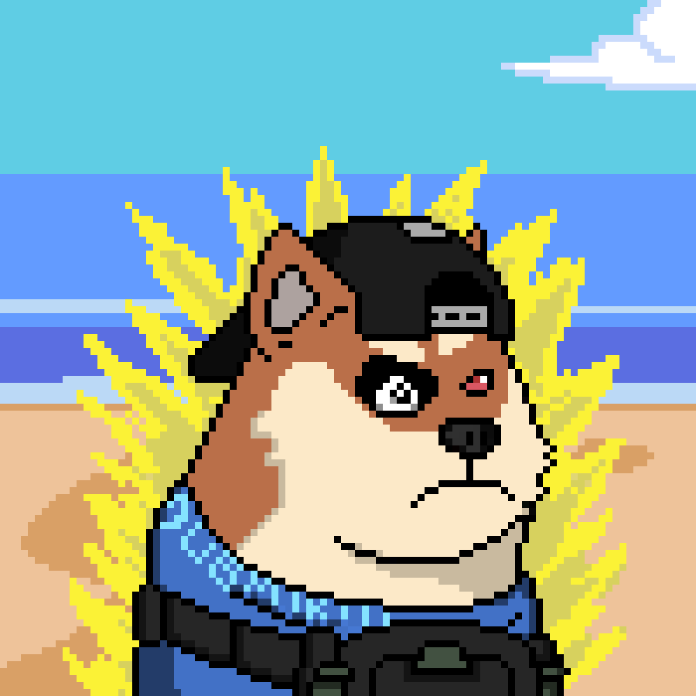 Doge Heroes #960