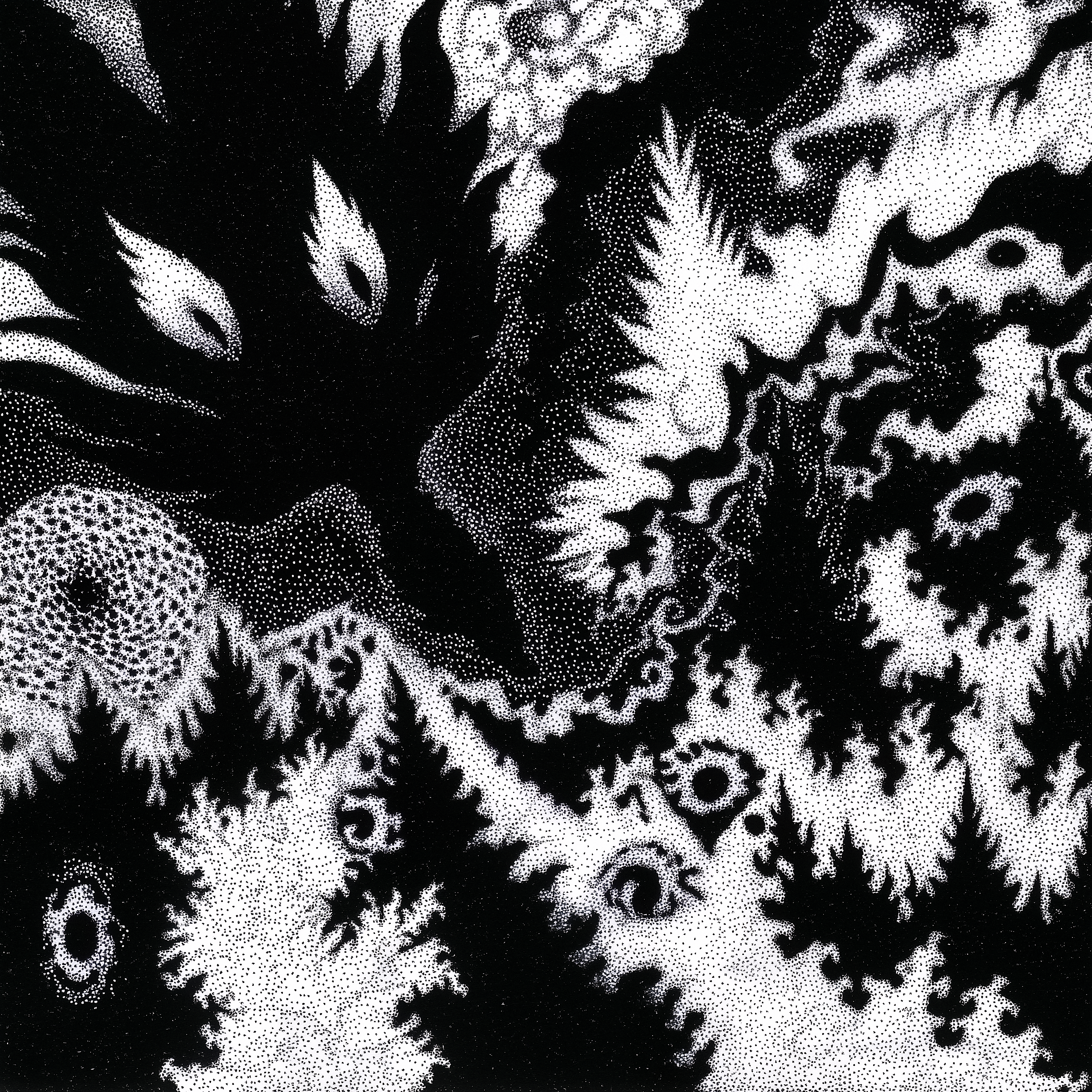 Forest Of Eyes