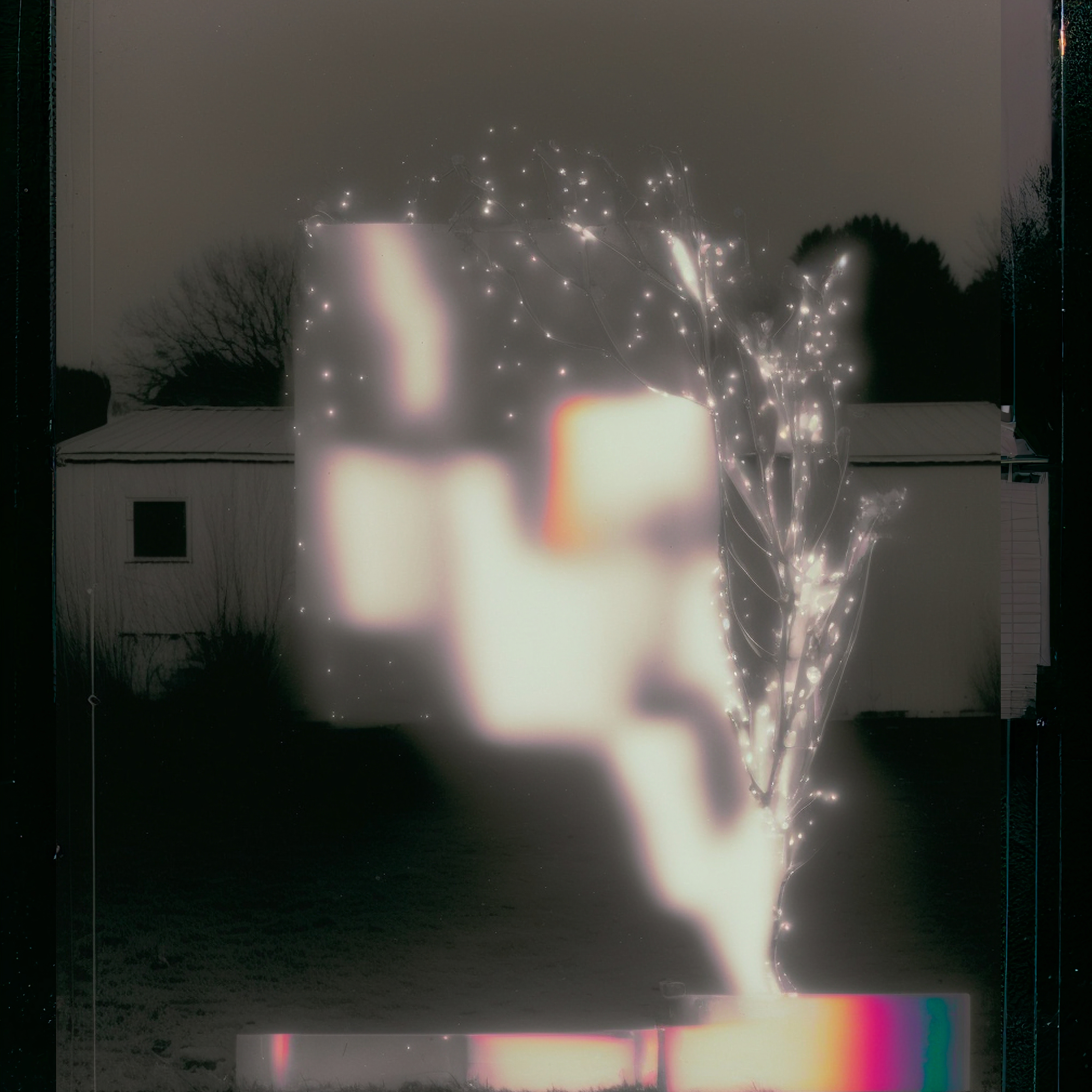 composition: no MMXXIII, with garland and film
