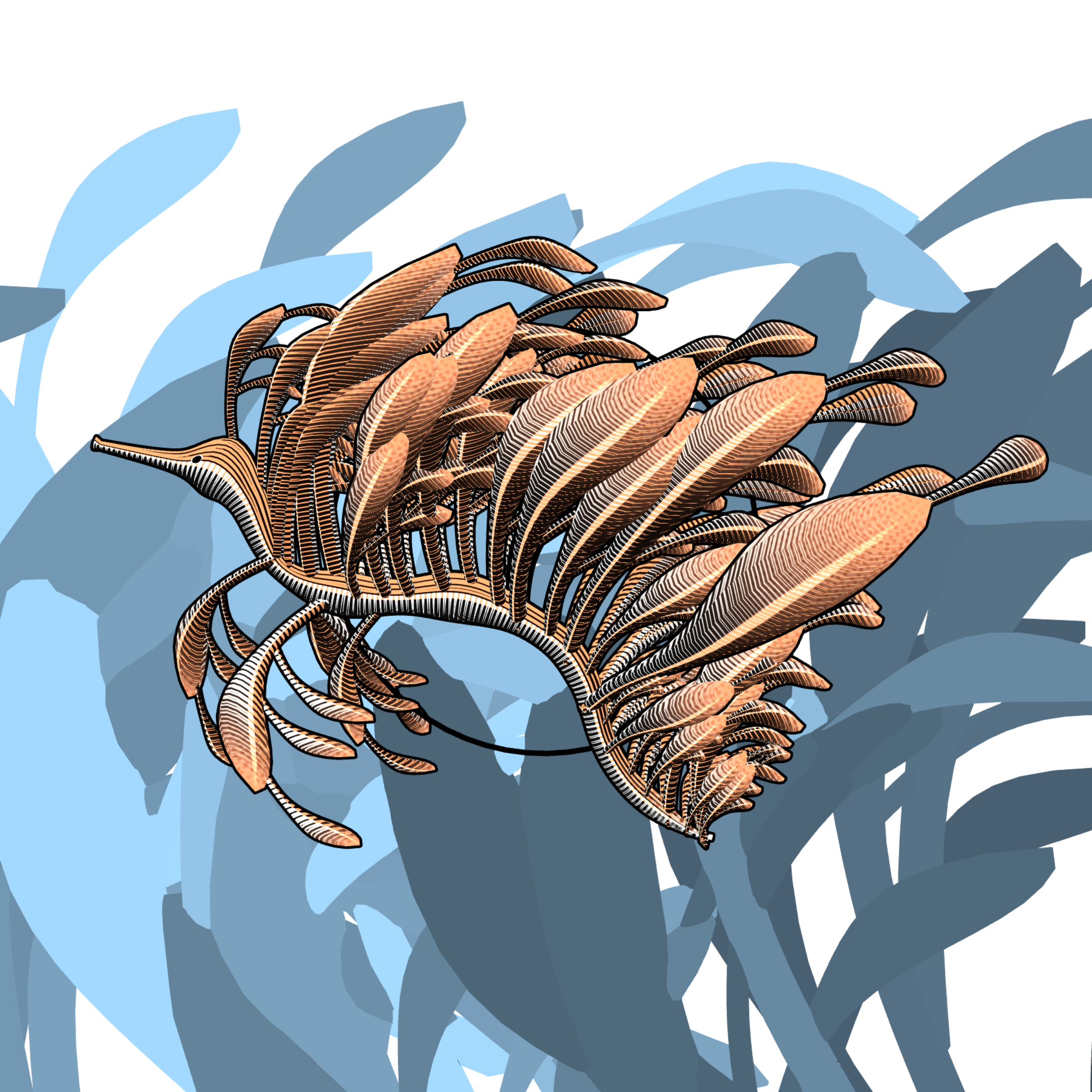Seadragons #51