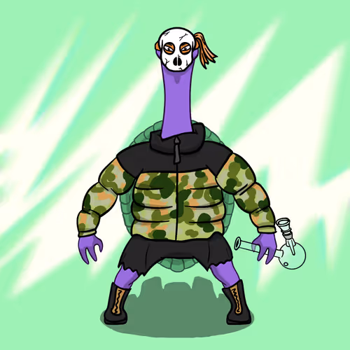 Turtle Neck #1946