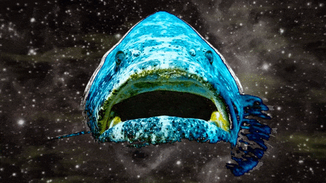 Grouper