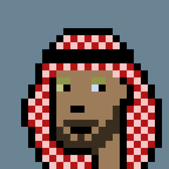 The Emiratis #1793