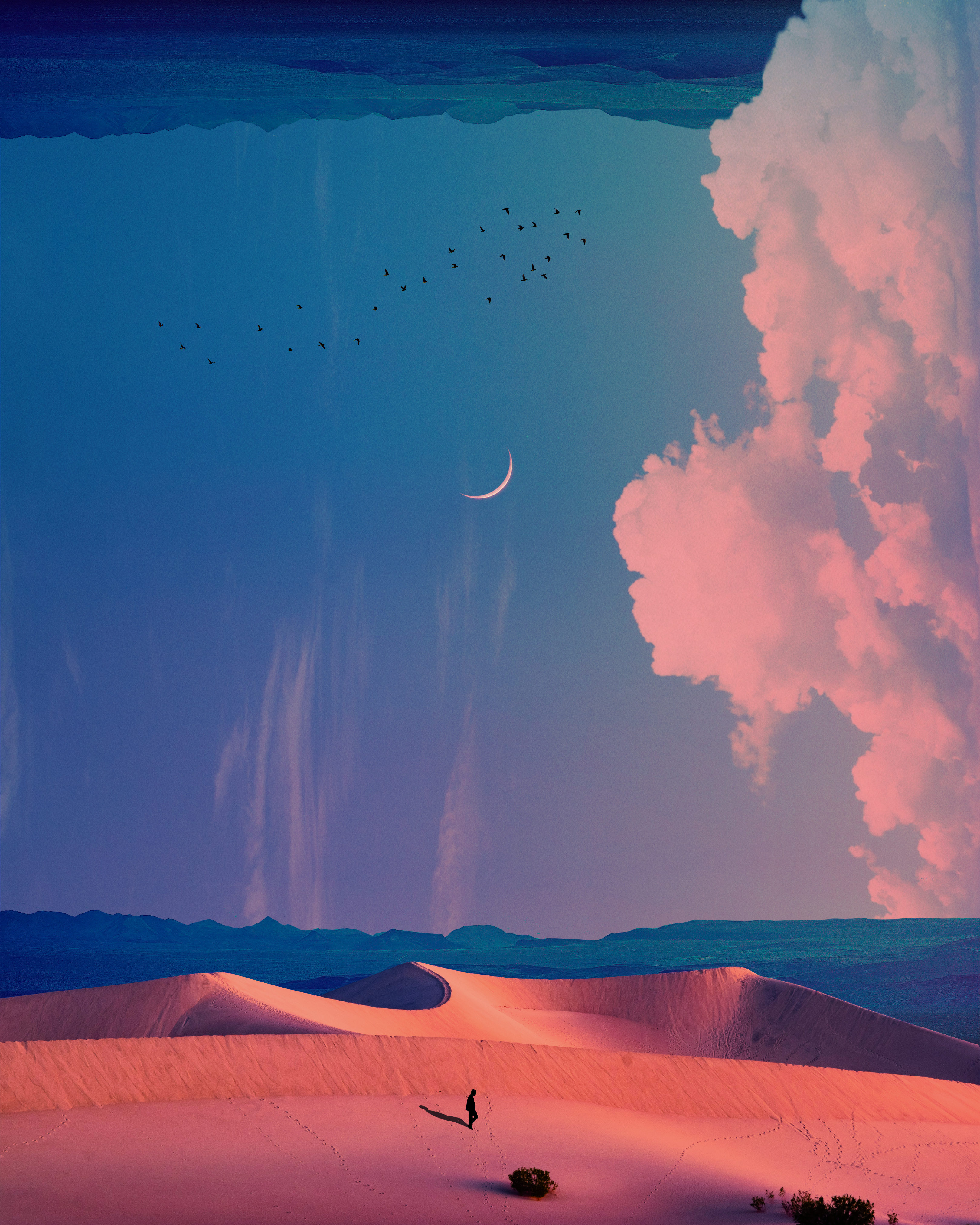 Promised Lands