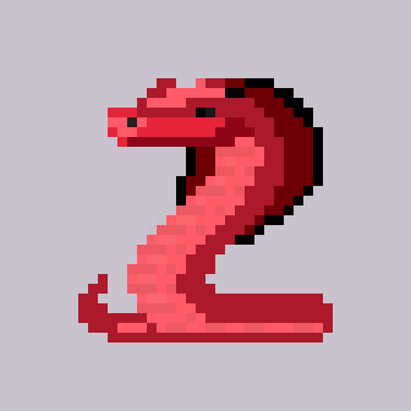 Snake #1677