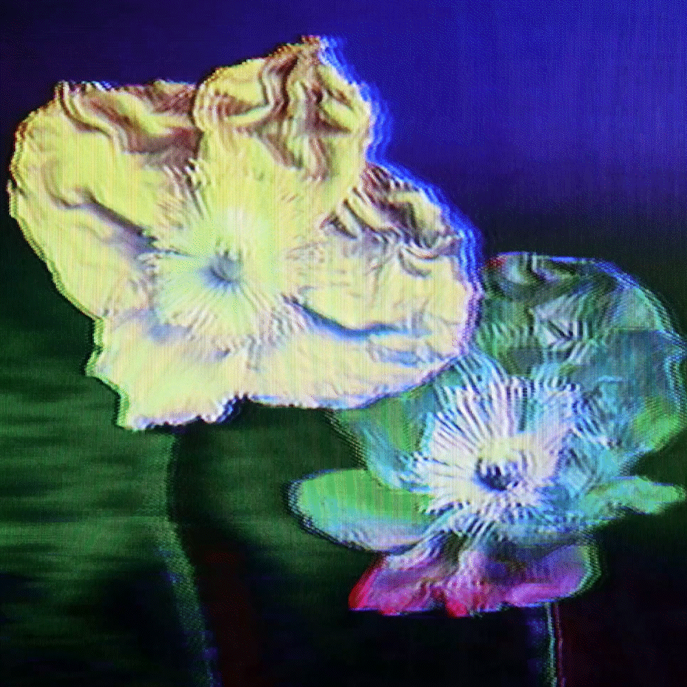 Flower #14