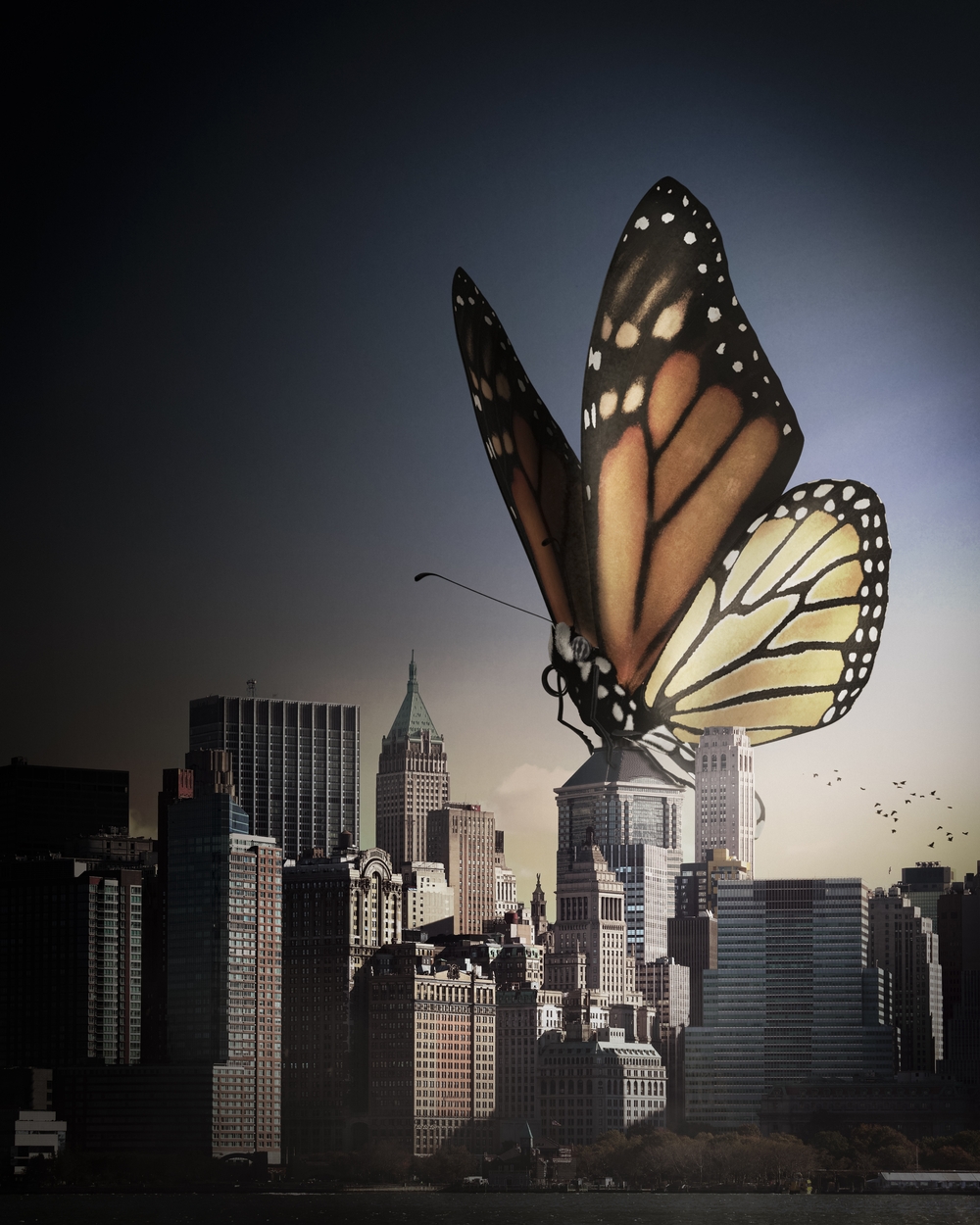 The Butterfly Effect