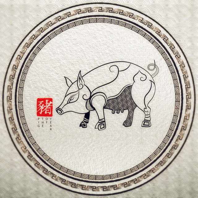 Pig