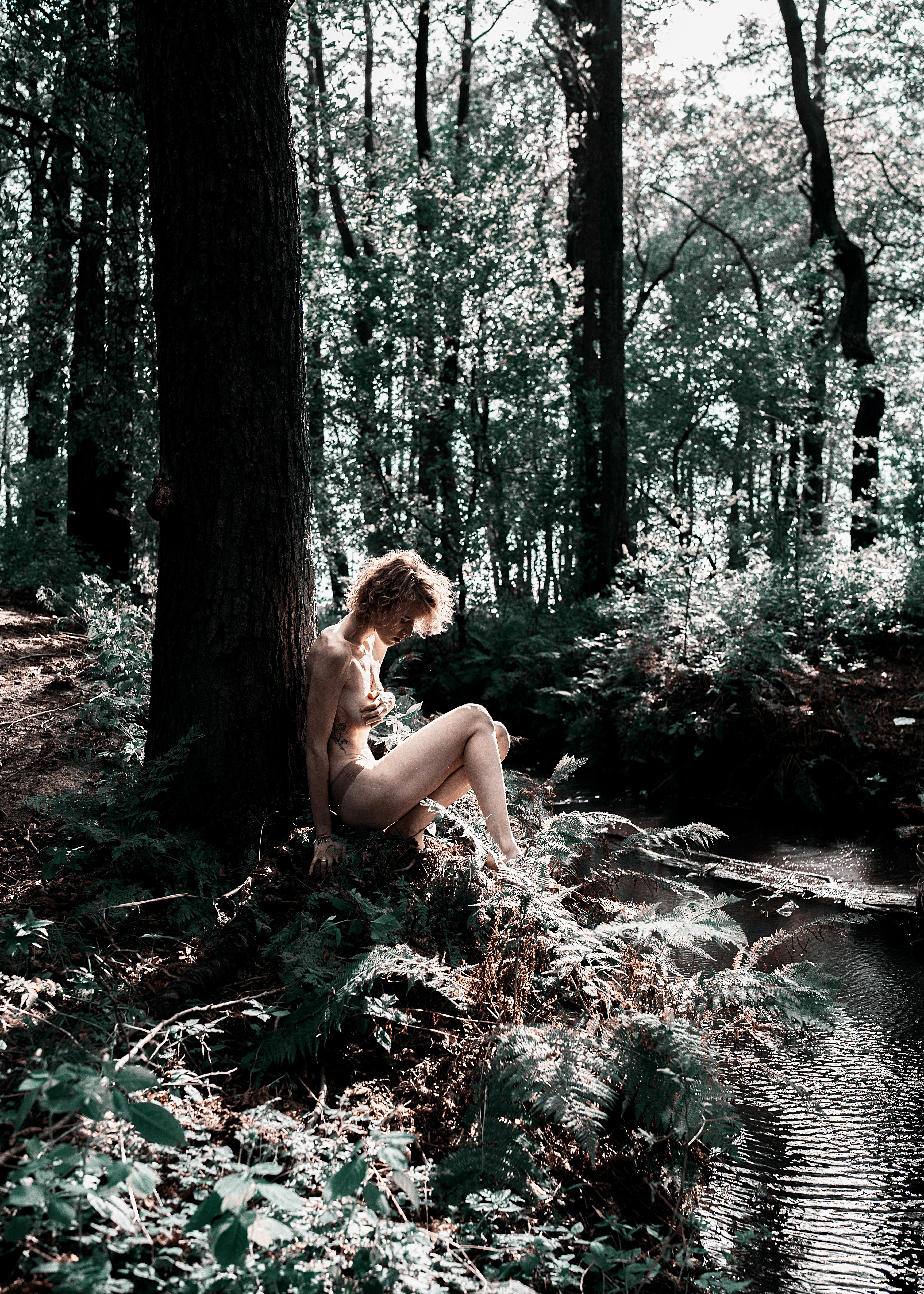 Fairy