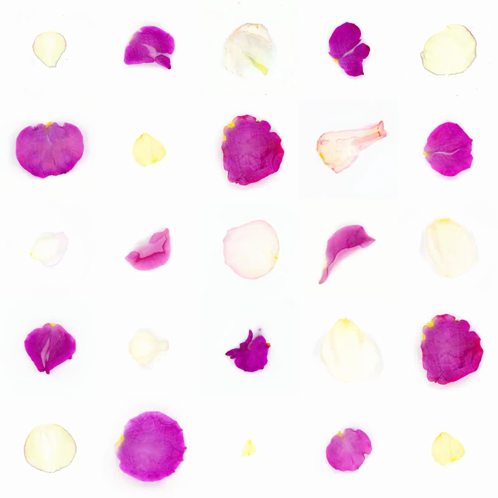 Infinite Petals 5x5#21310