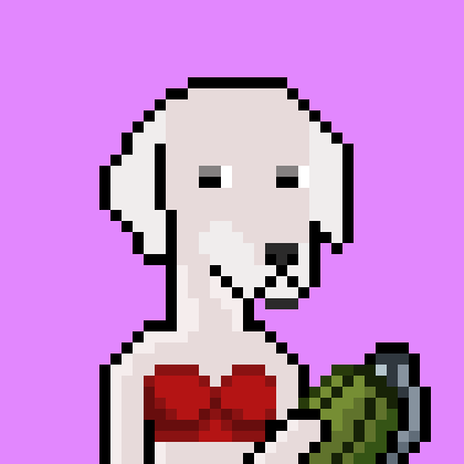 ViralataFunk #1248