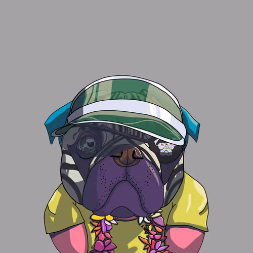 Immunity Dog