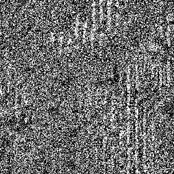Noise #863 