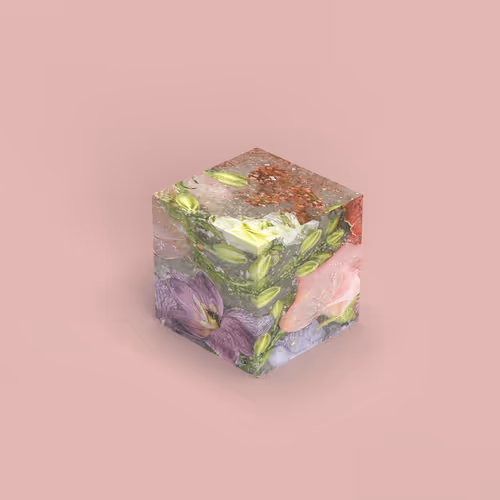 Block  #8