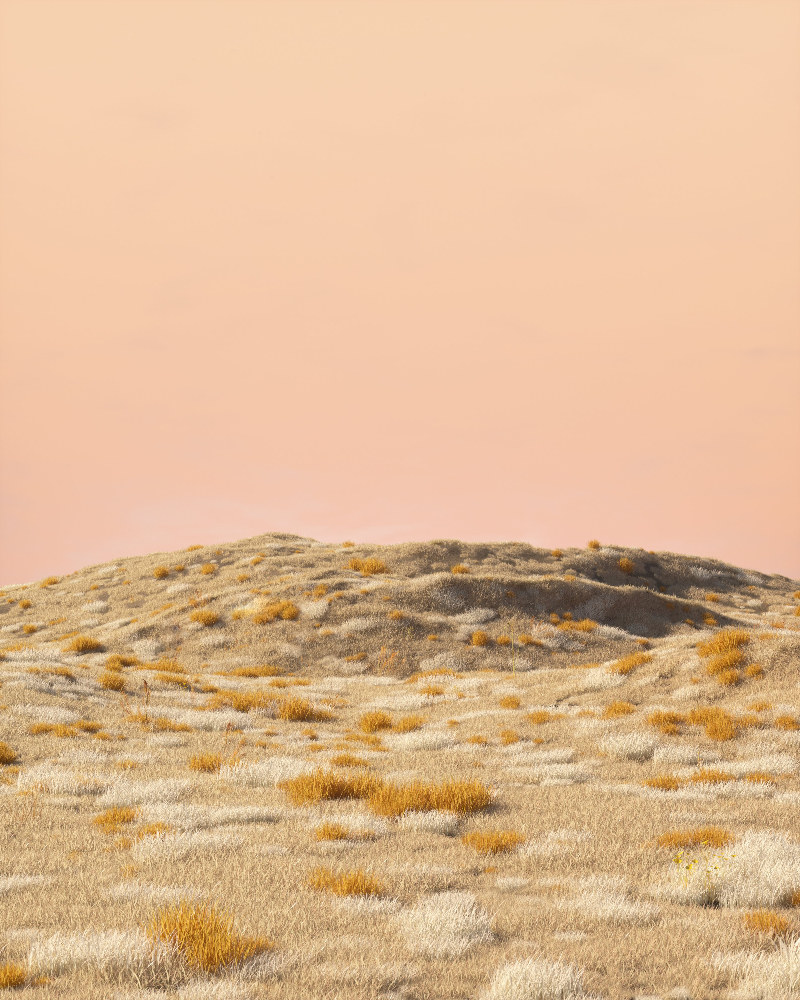 Dreamland #4/22