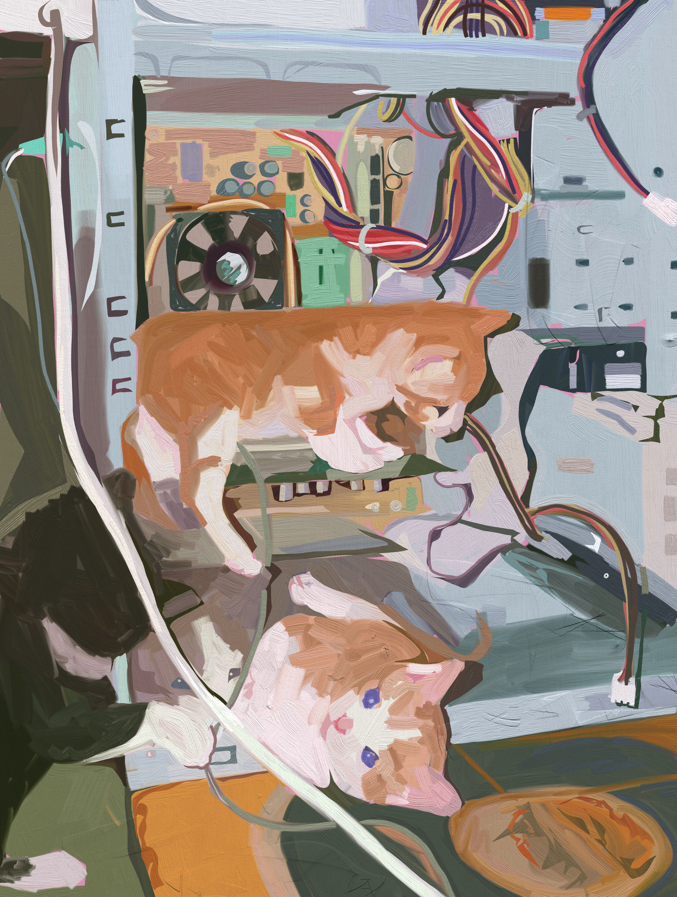 kitten study