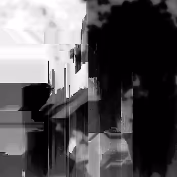 Noise #218 
