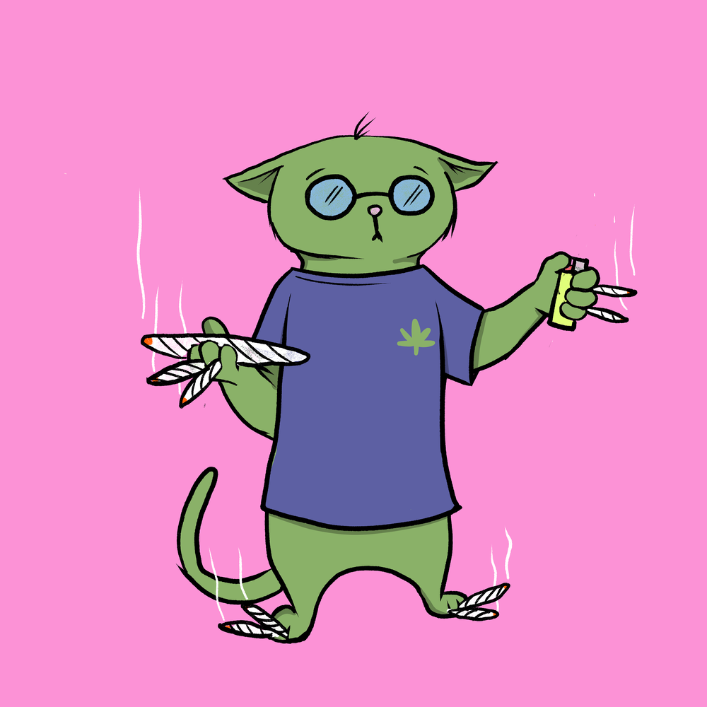 Blazed Cat #5991