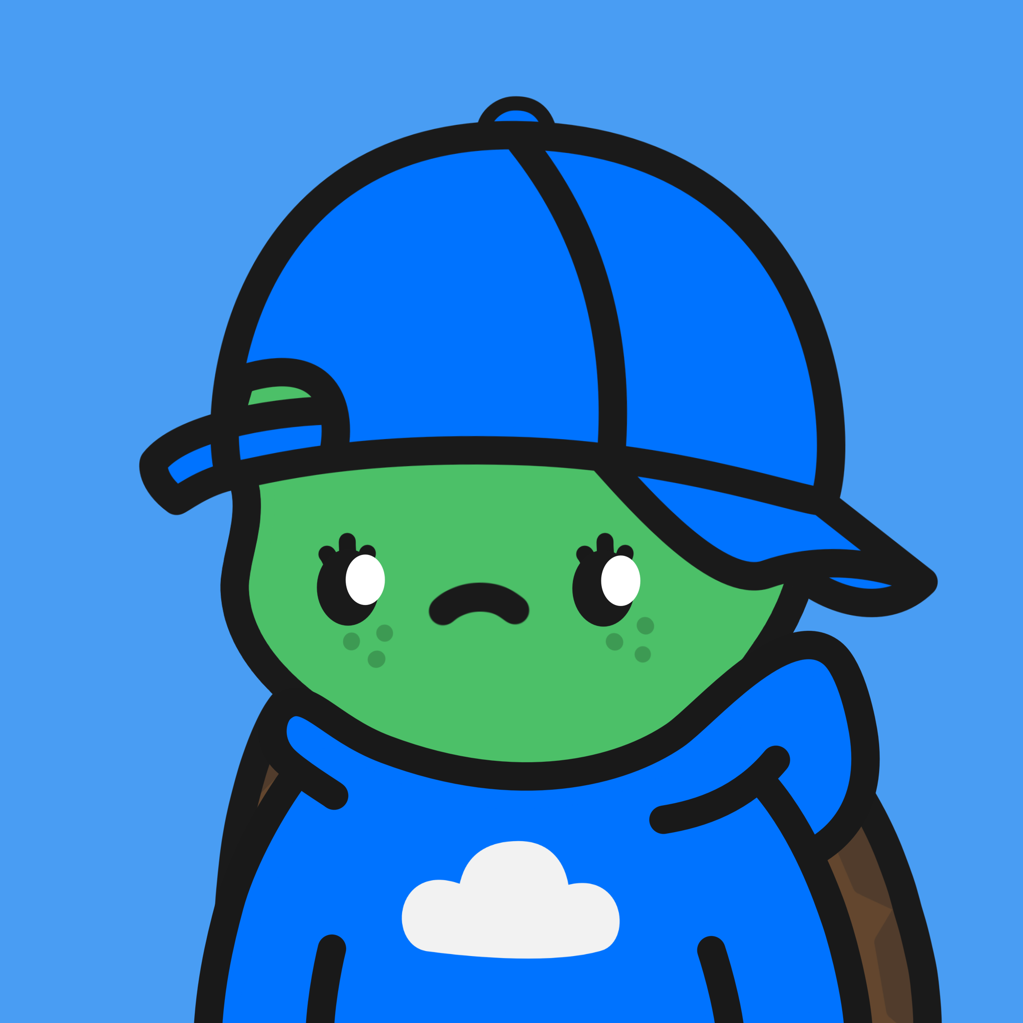 Turtle Town #3571