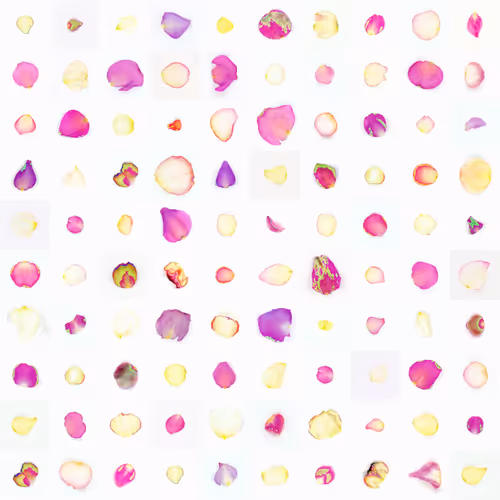 Infinite Petals 10x10#1848