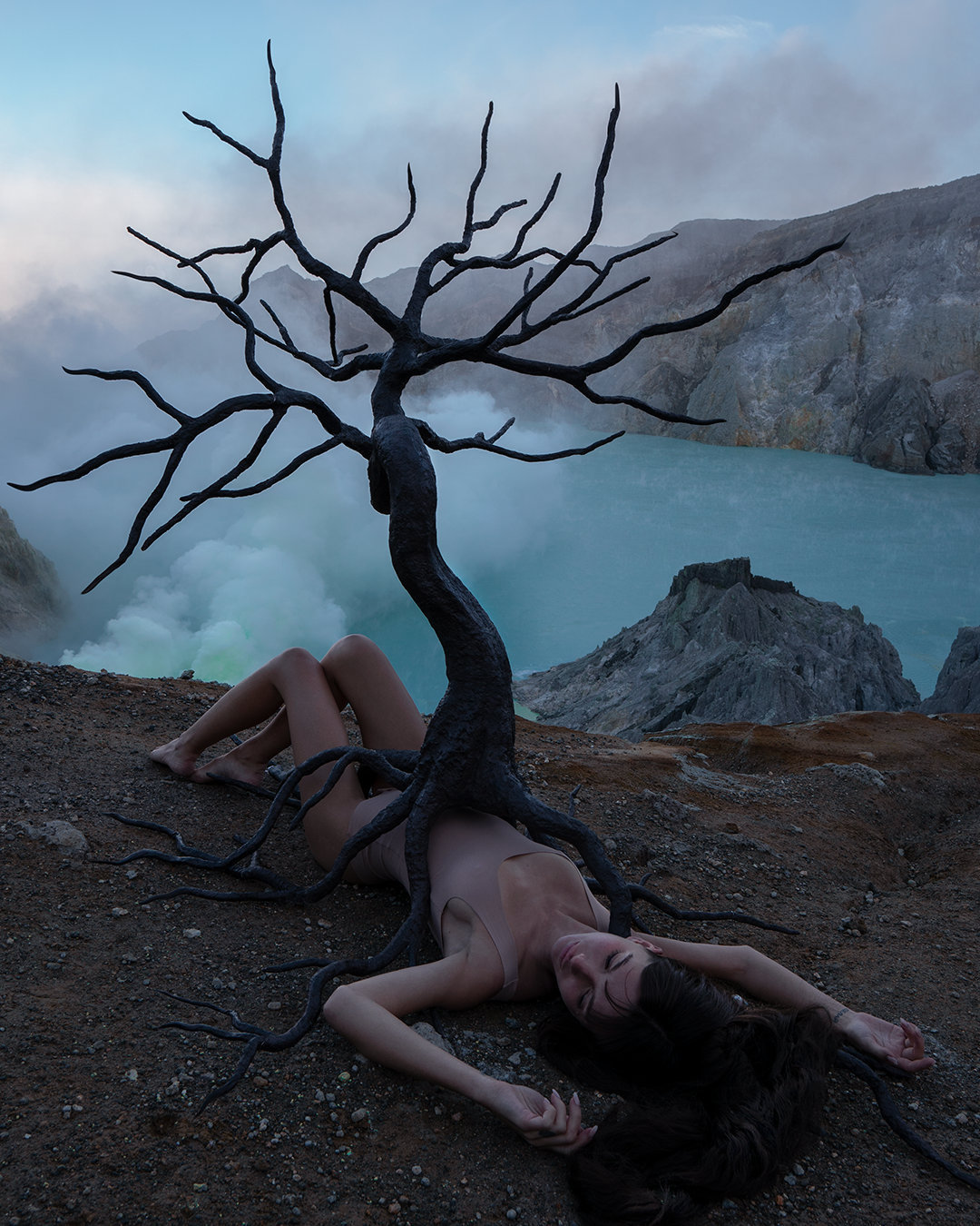The Lost Hopes Tree #8/10