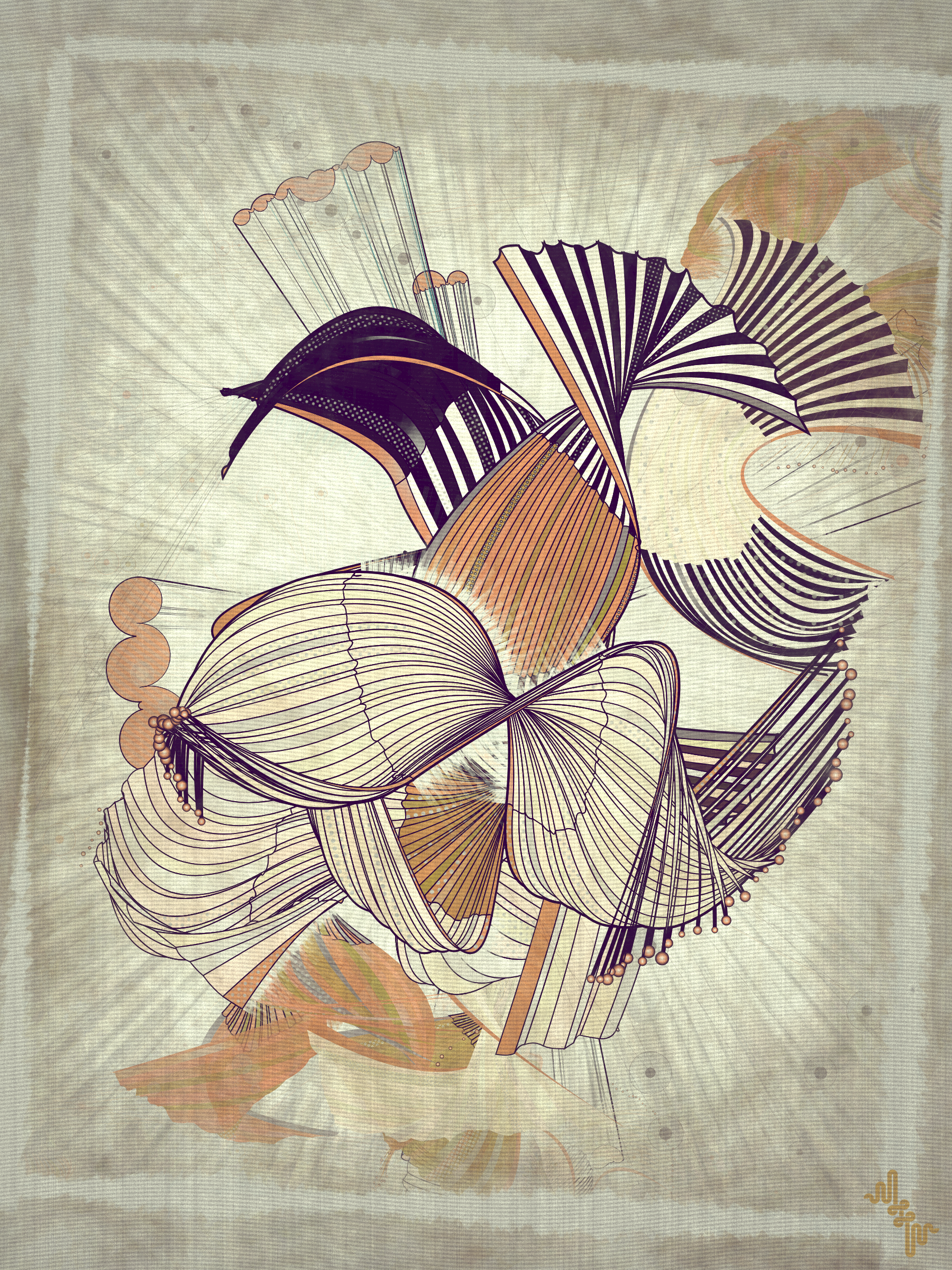 Velum #48