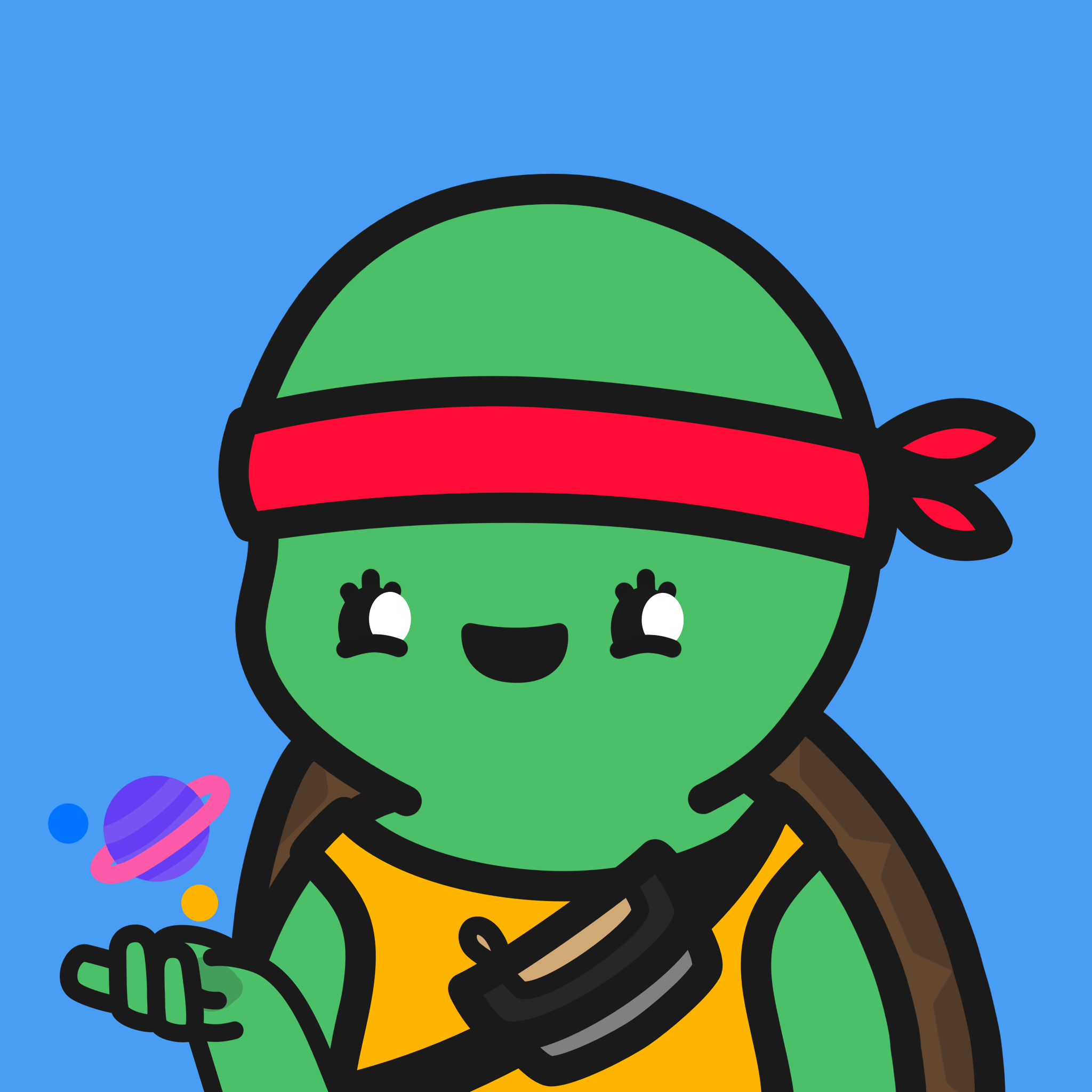Turtle Town #6580