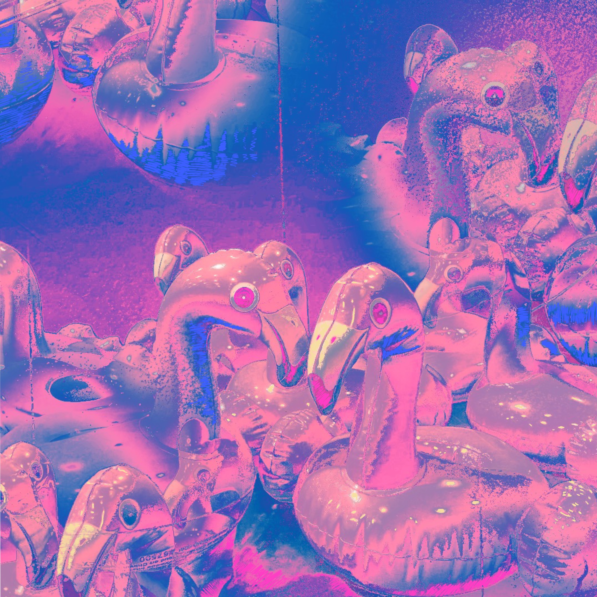 Flamingos