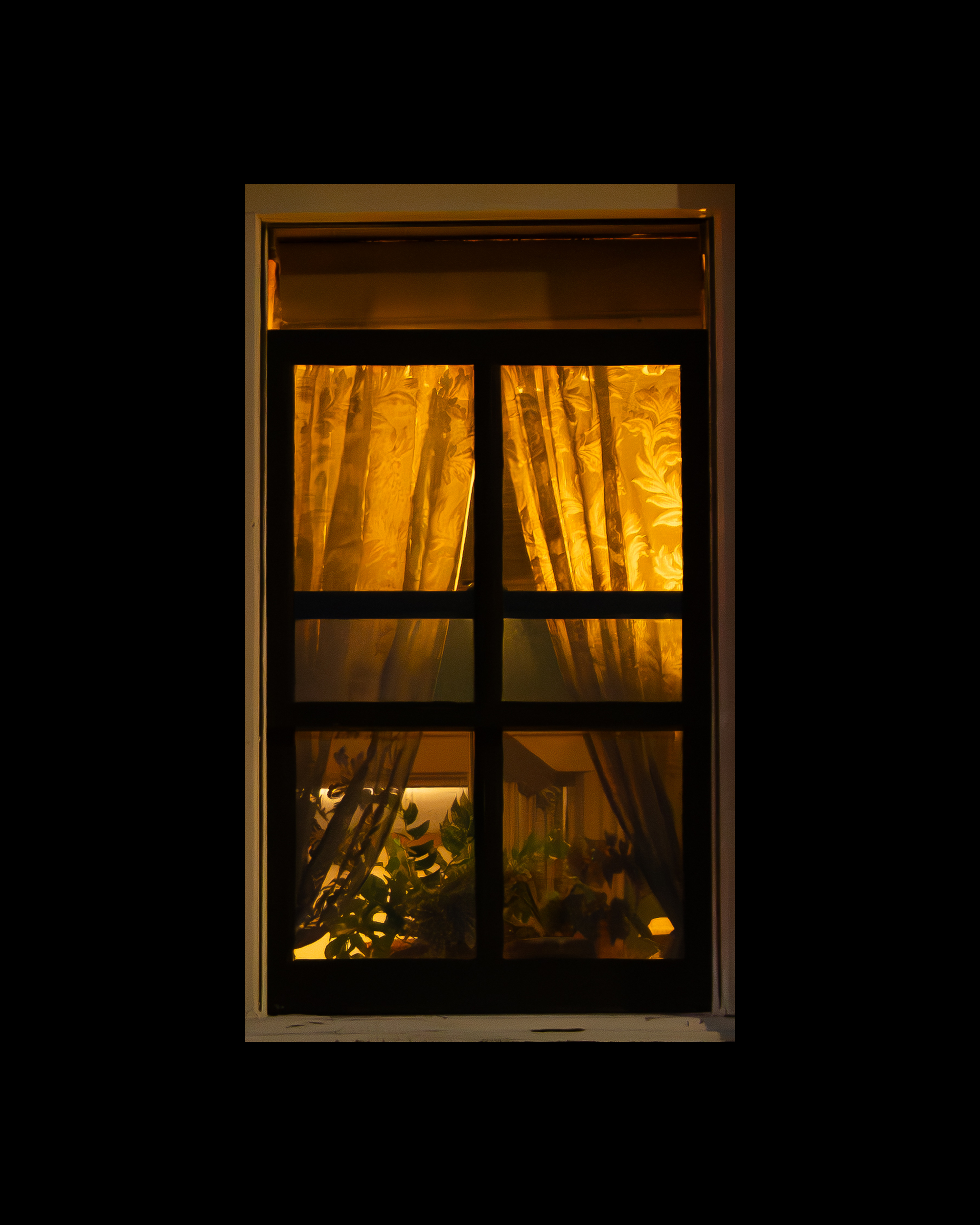 WINDOW 228